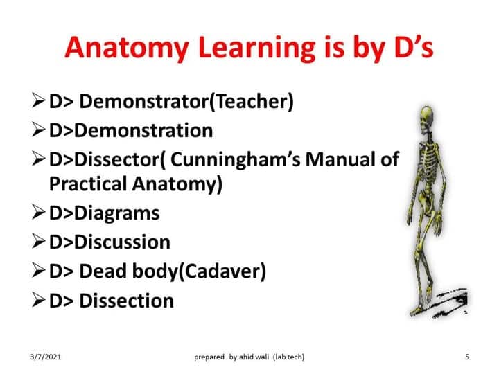 Anatomy by Dr.... - Anatomy by Dr. Shafiq Ahmad Kainth.