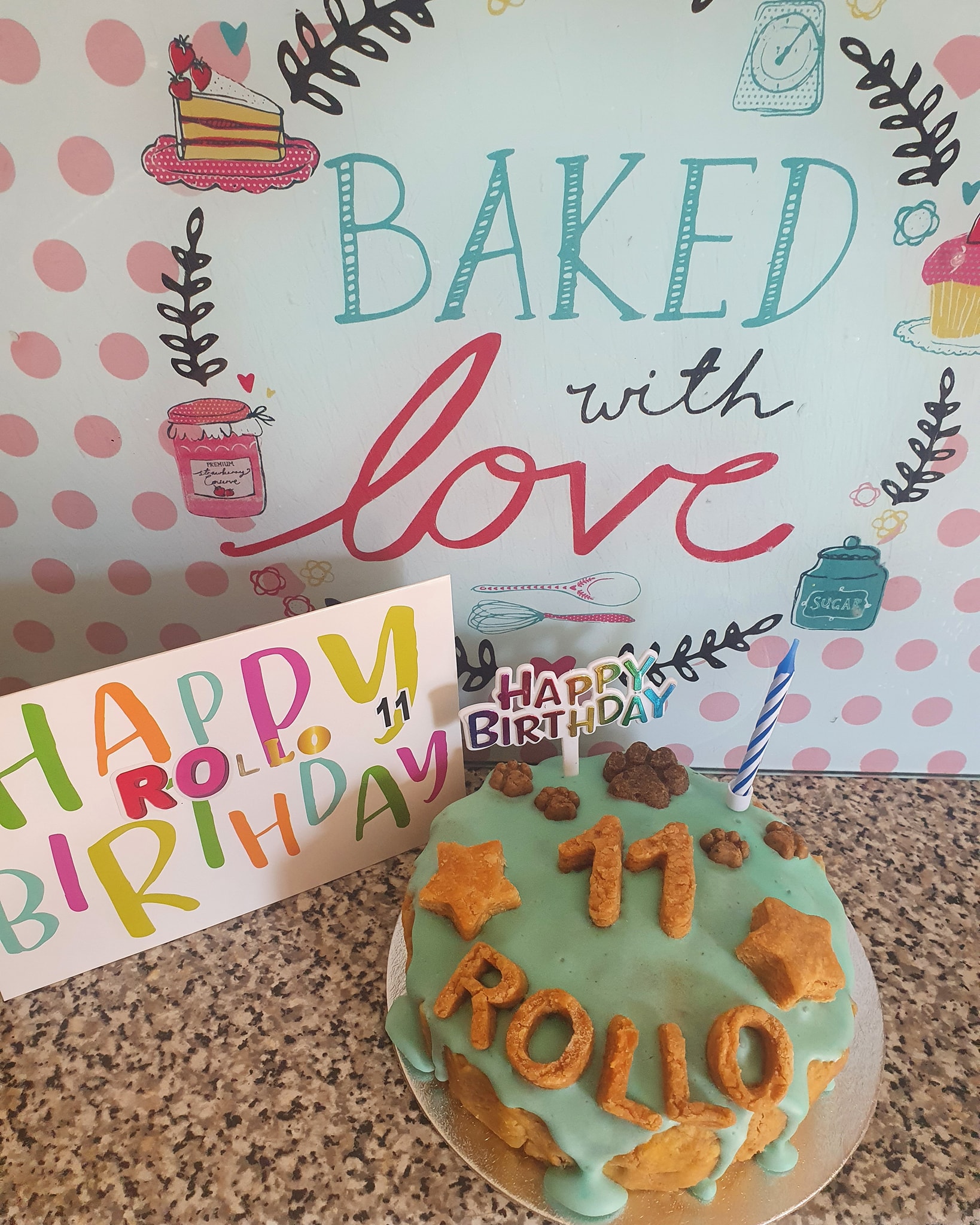 Happy 11th Birthday to Rollo the... - The Blue Whippet | Facebook