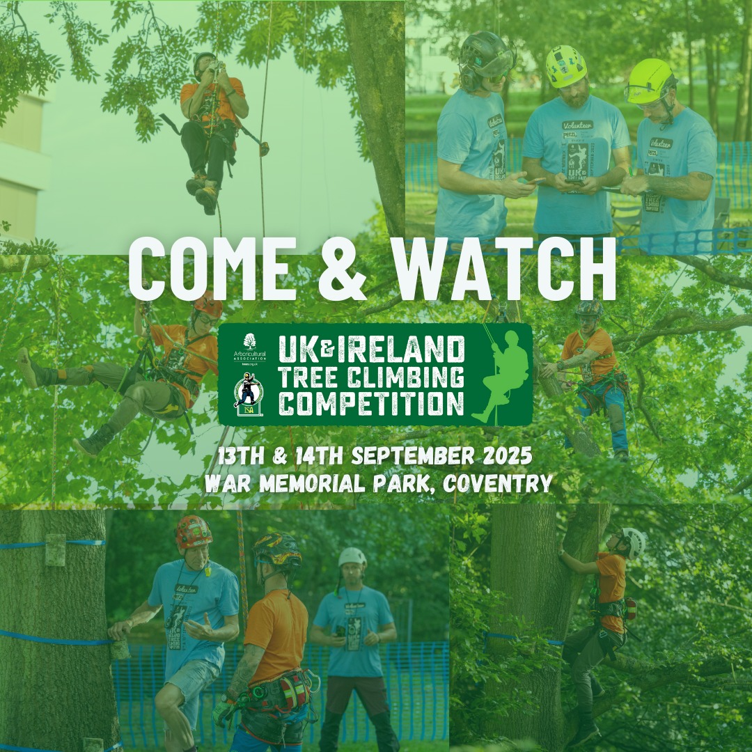 UK & Ireland Tree Climbing Competitions