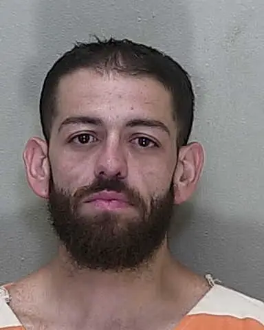 32-year-old GINO DELLA LIBERA from OCALA was booked on 08 ...