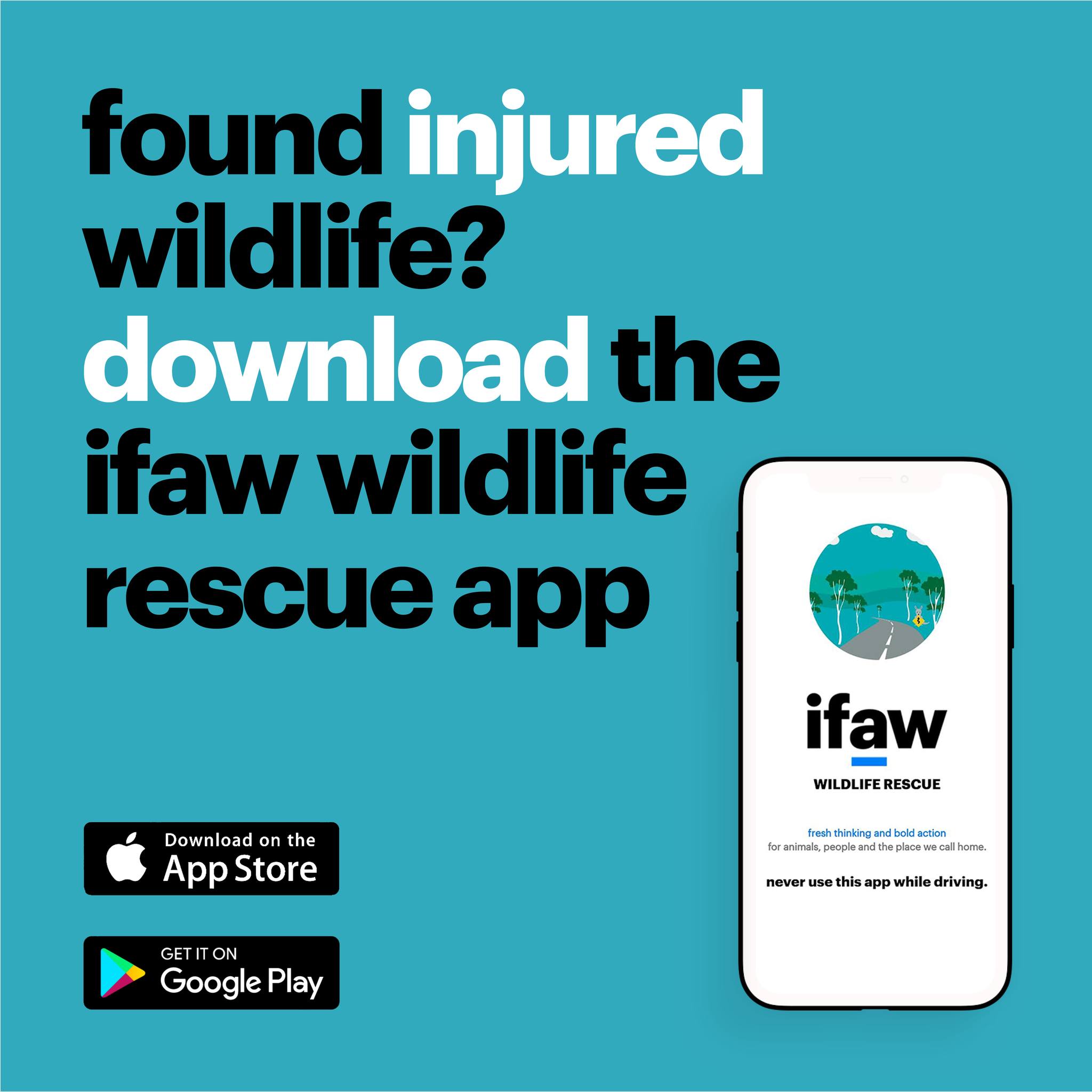 ifaw - With all this rain across parts of NSW, we're asking people to ...