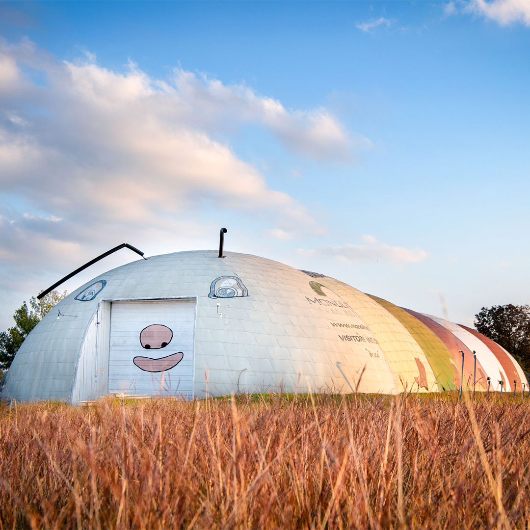 Texas.gov - It’s giving big bug energy. 🐛 Say hello to... | Facebook