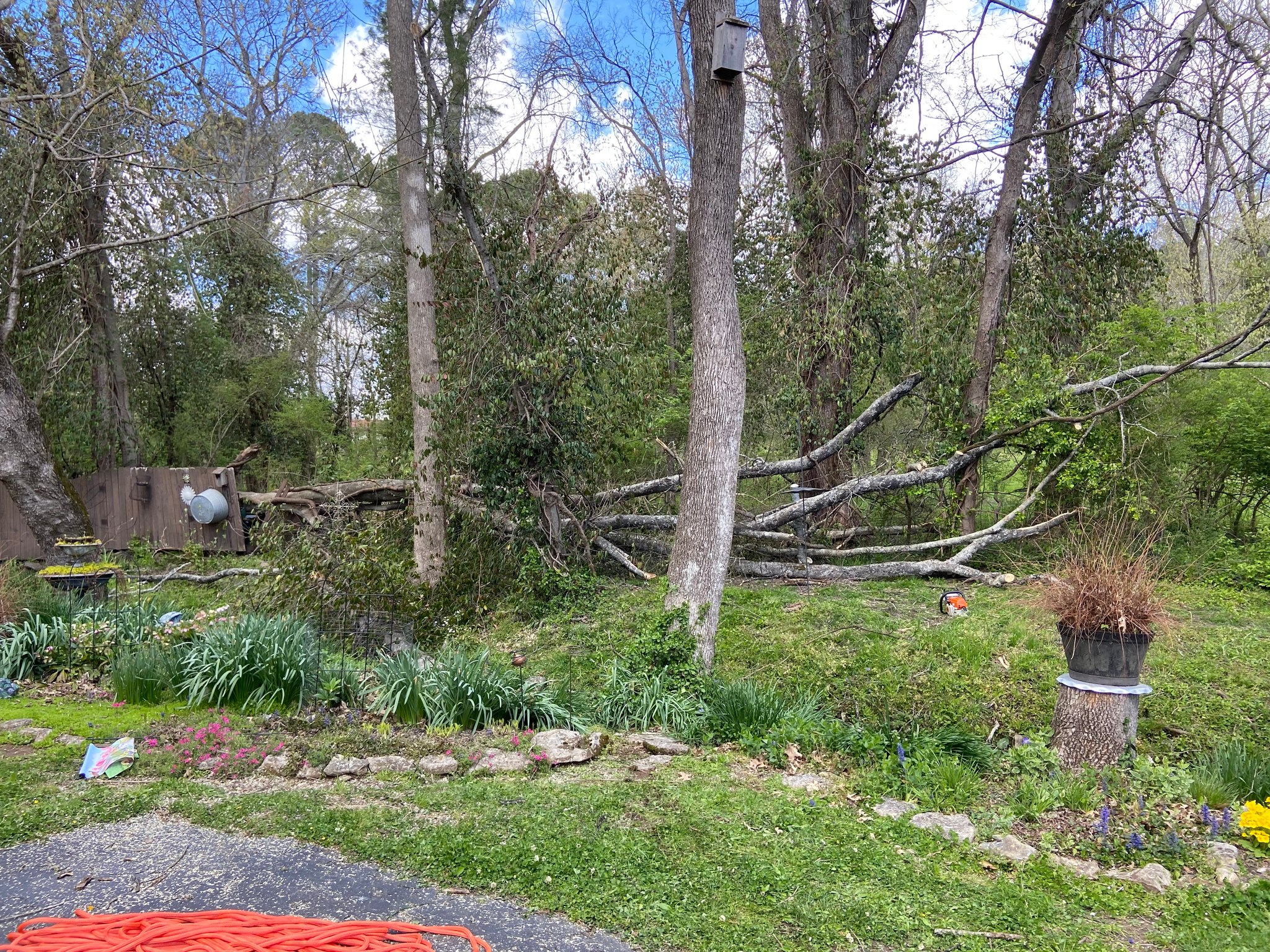 Veteran Tree Service | Culleoka TN