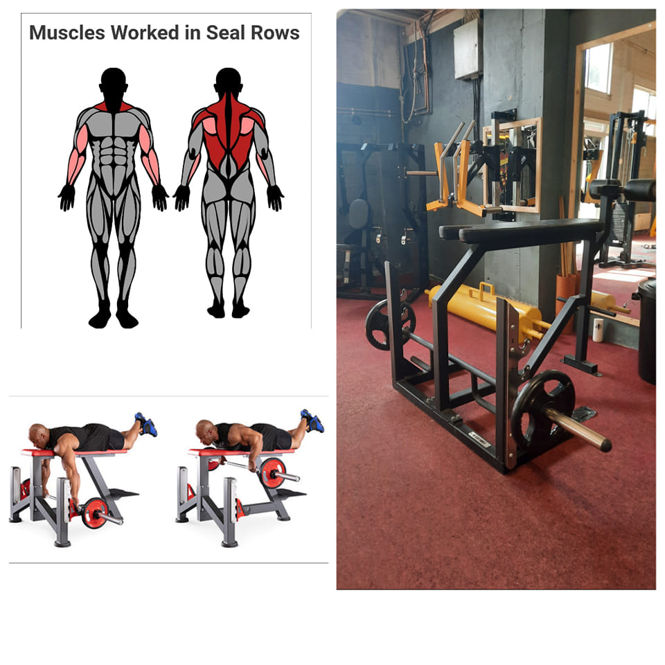 The seal row is a variation... - Approved Training Facility | Facebook