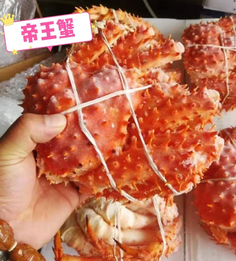 Xg 海产海鲜 帝王蟹 帝王蟹 帝王蟹 留守我们接下来还有一系列的大优惠老板要钱不要货 赶快按赞分享 Facebook