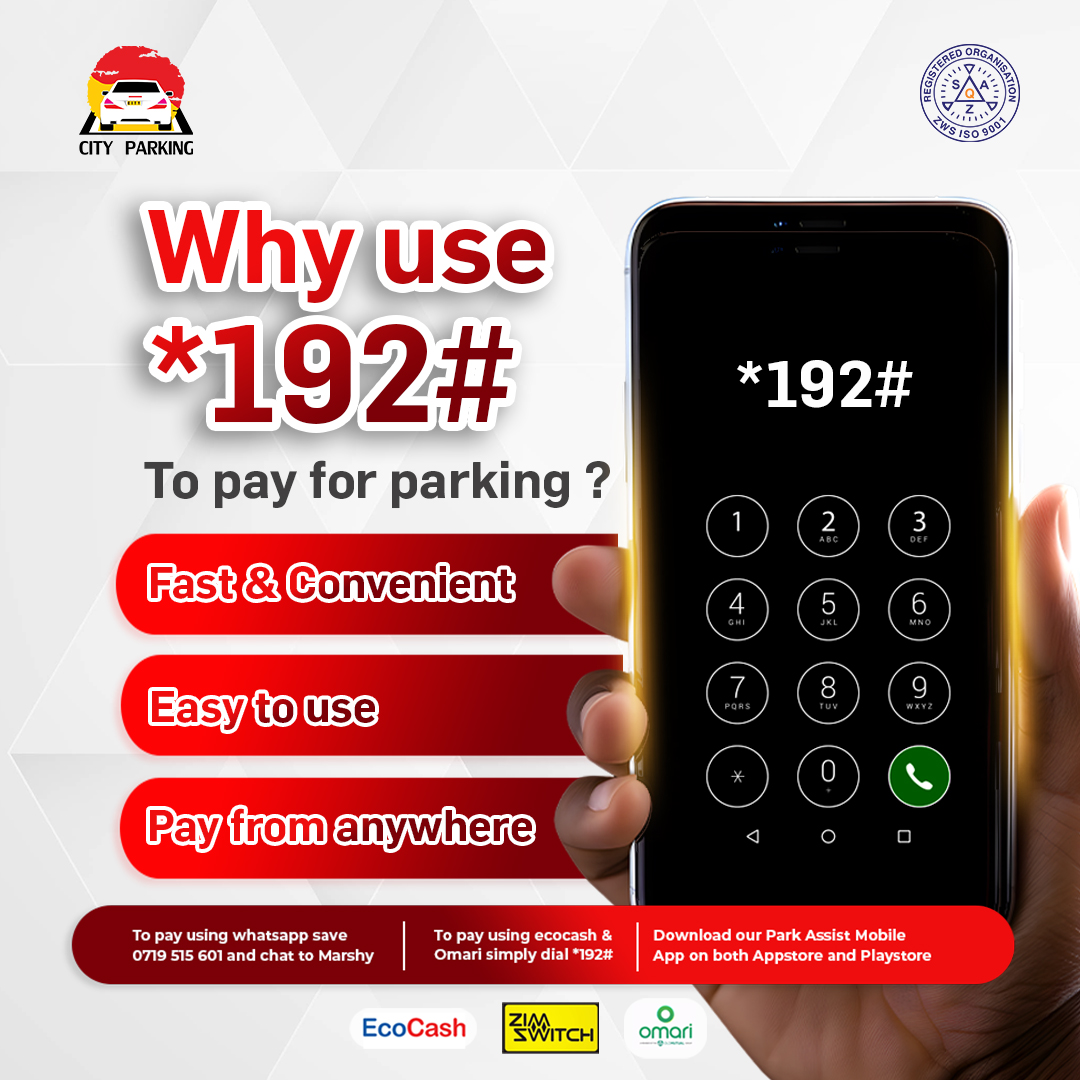 Visual Reference: City Parking Pvt Ltd