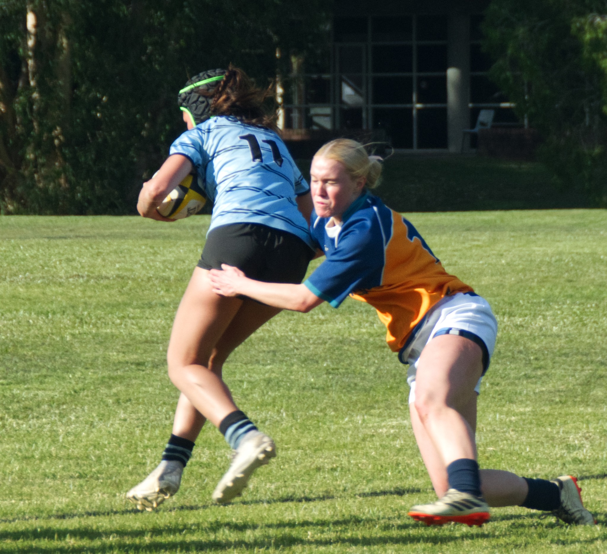 Southern Cross University Gold Rats