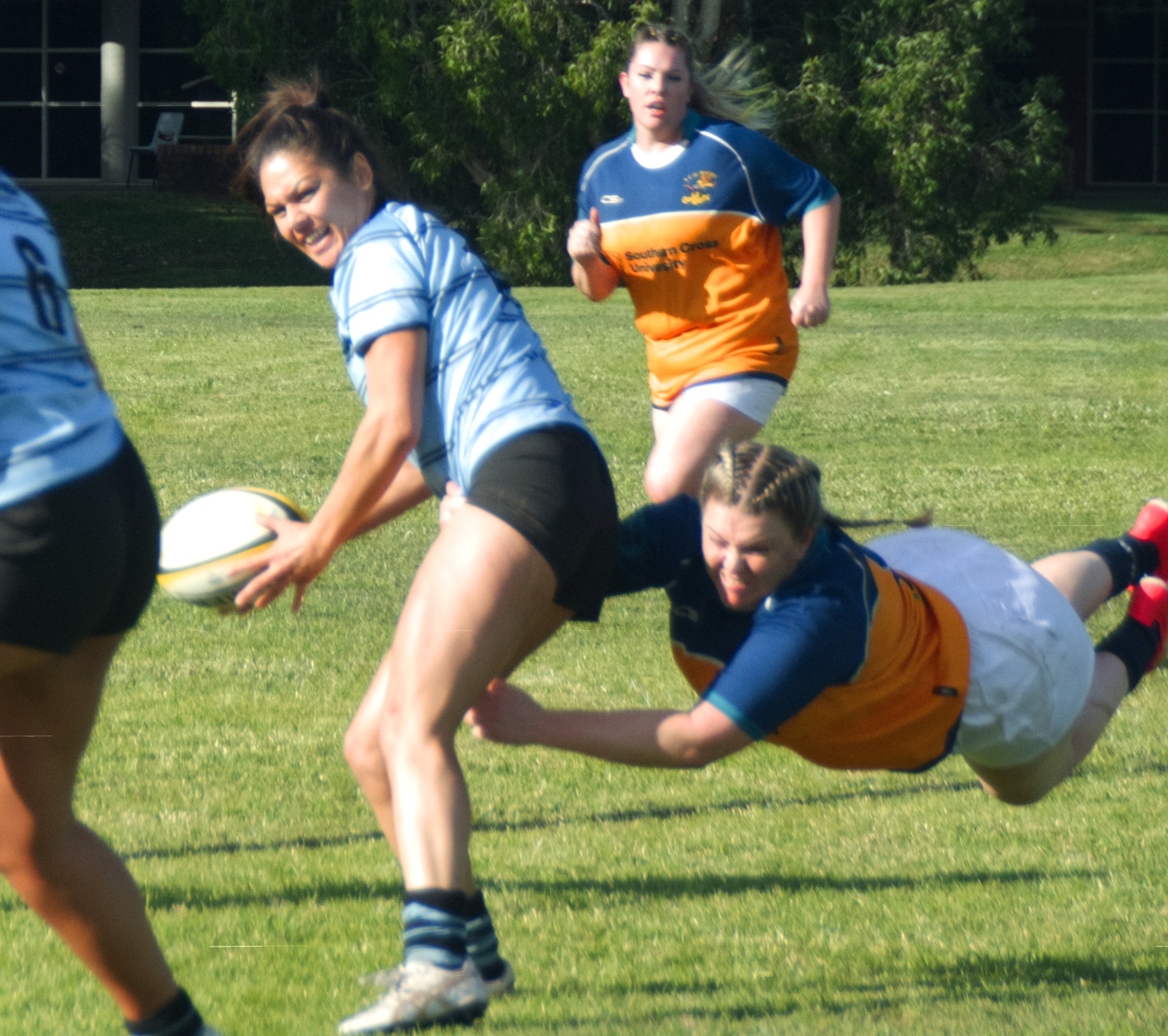 Southern Cross University Gold Rats