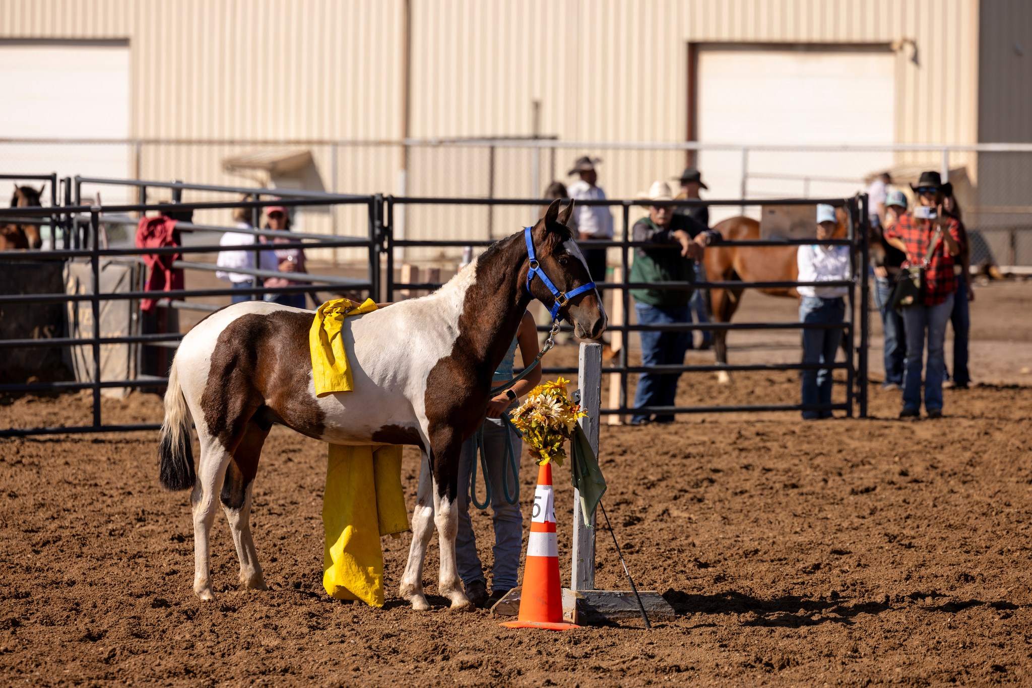 Spirit Dancer Ranch | Fort Collins CO