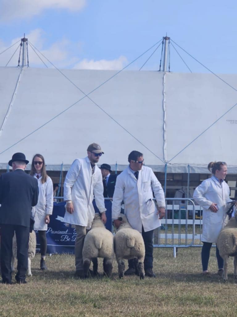 Turfbury - Today saw us show at Woodhall Country Show taking a 3rd and ...