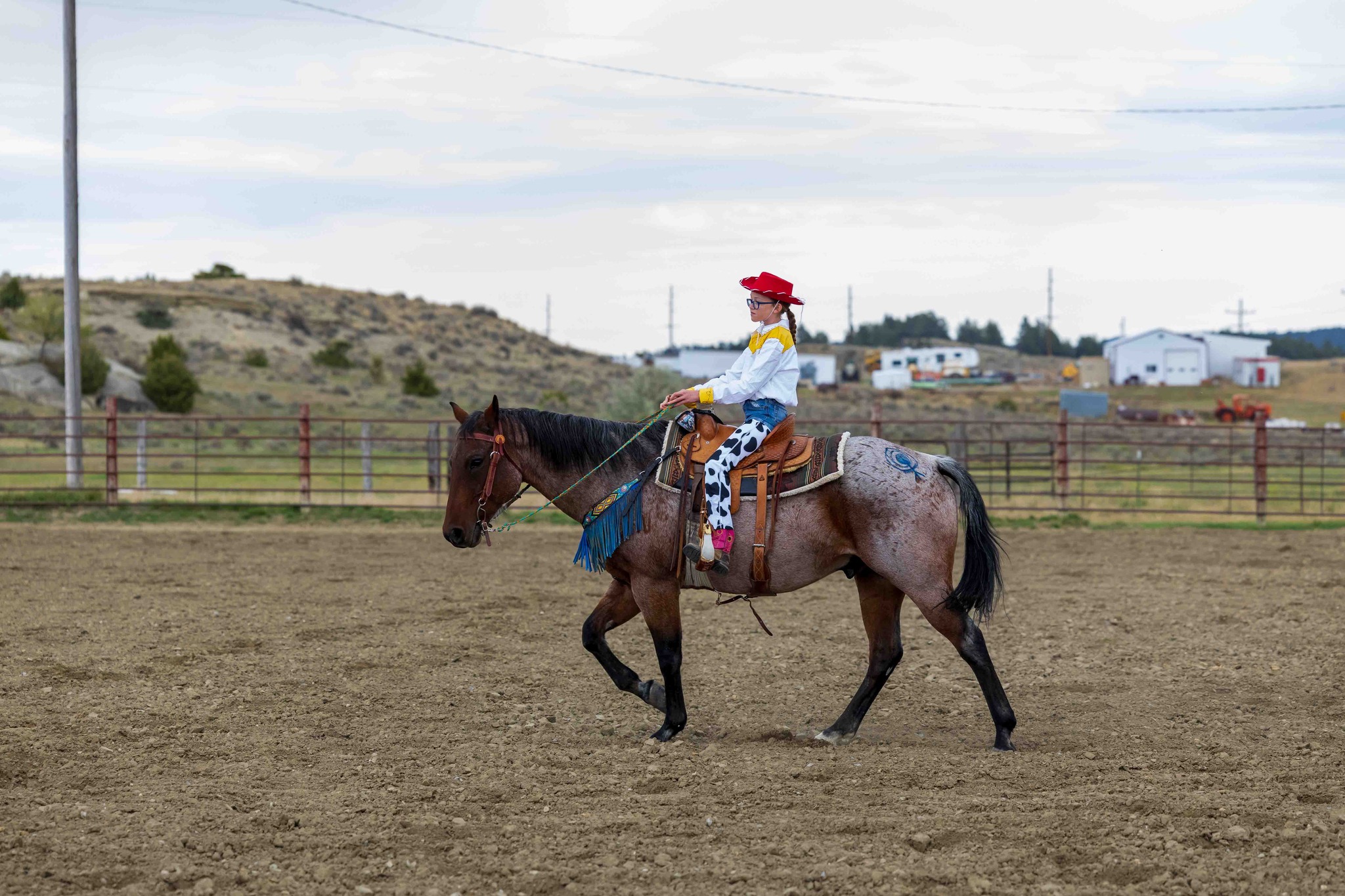 Roundup Ridge Riders