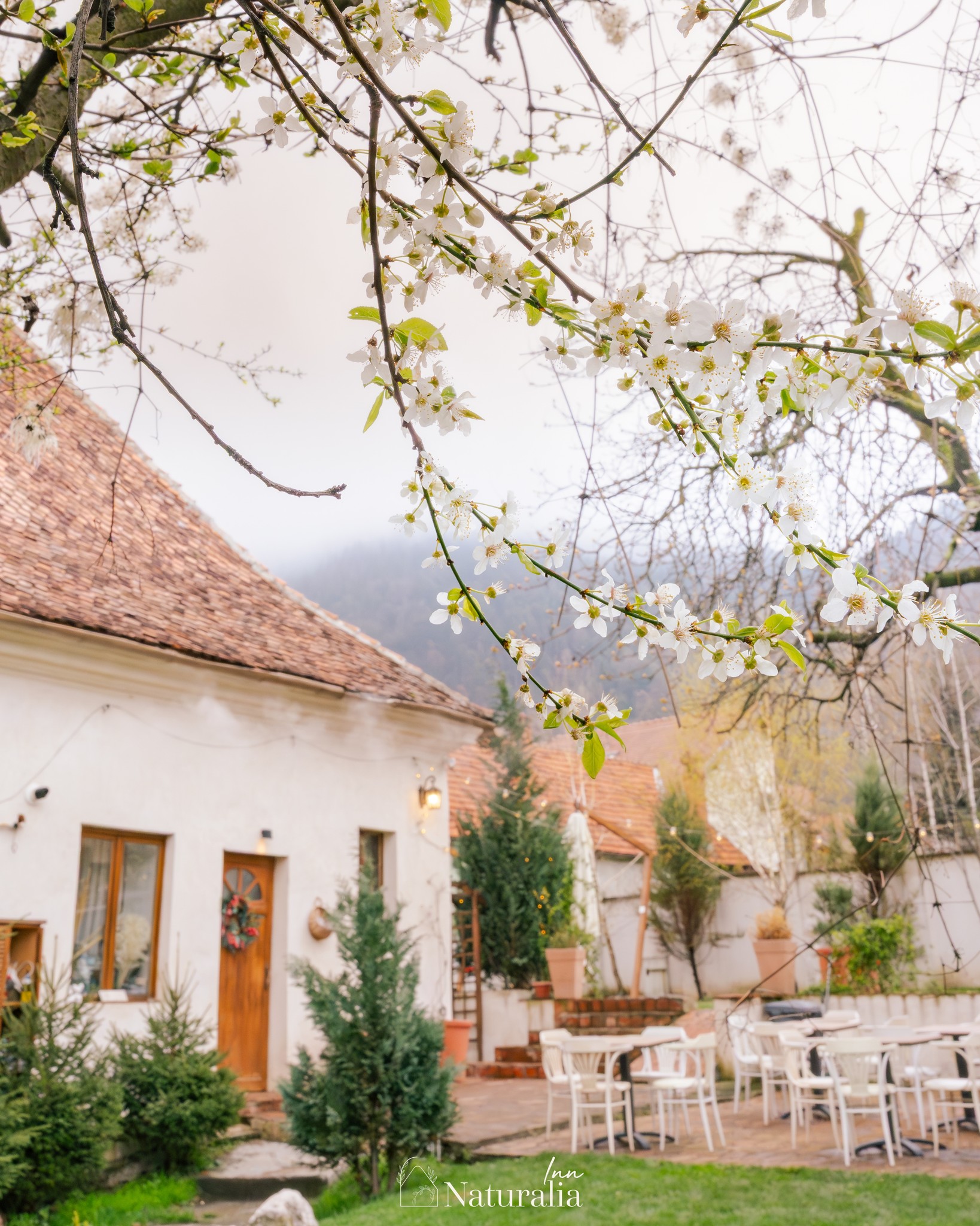 Naturalia Inn | Brasov
