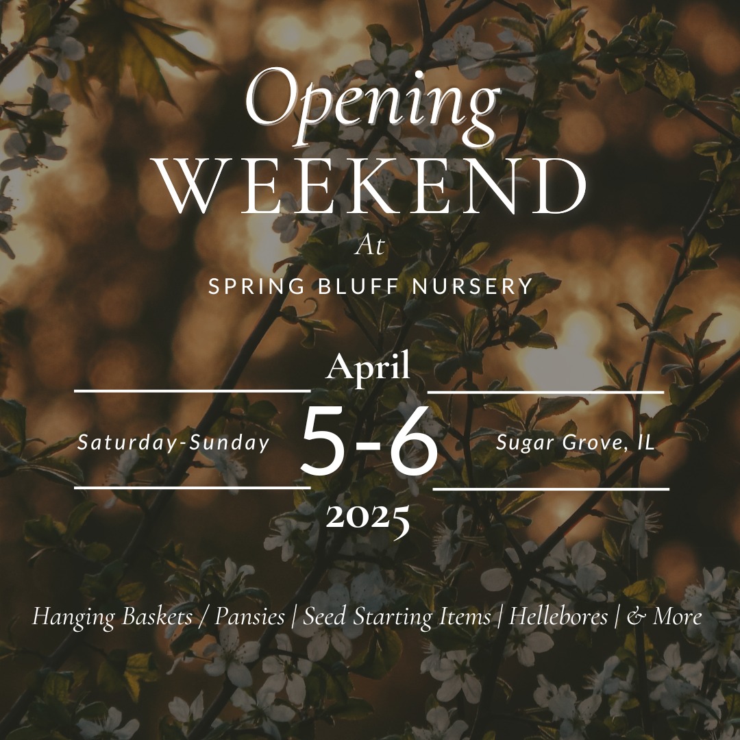 Spring Bluff Nursery | Sugar Grove IL