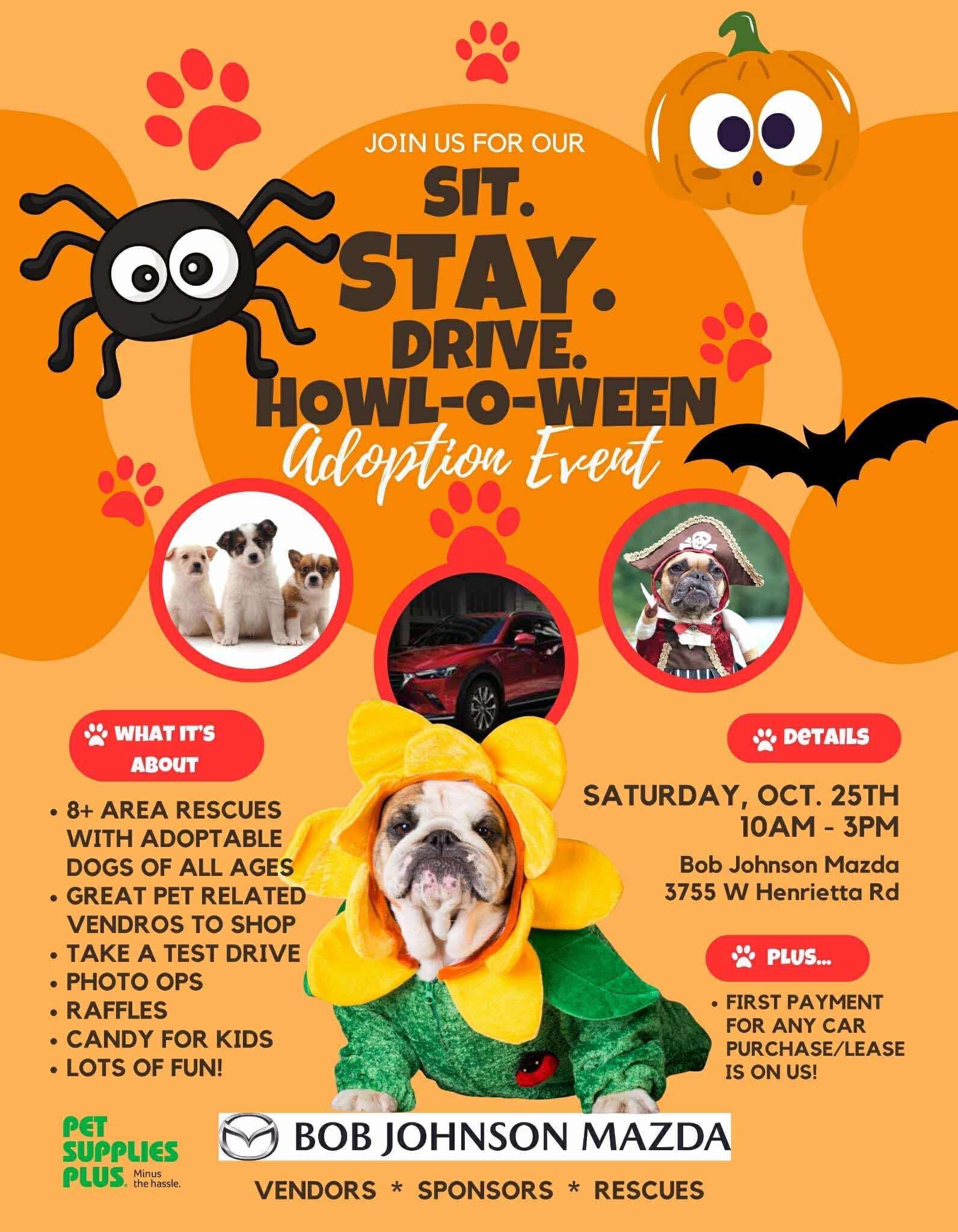 🧡🐶 GET READY - for a... - Operation Freedom Ride, inc. | Facebook
