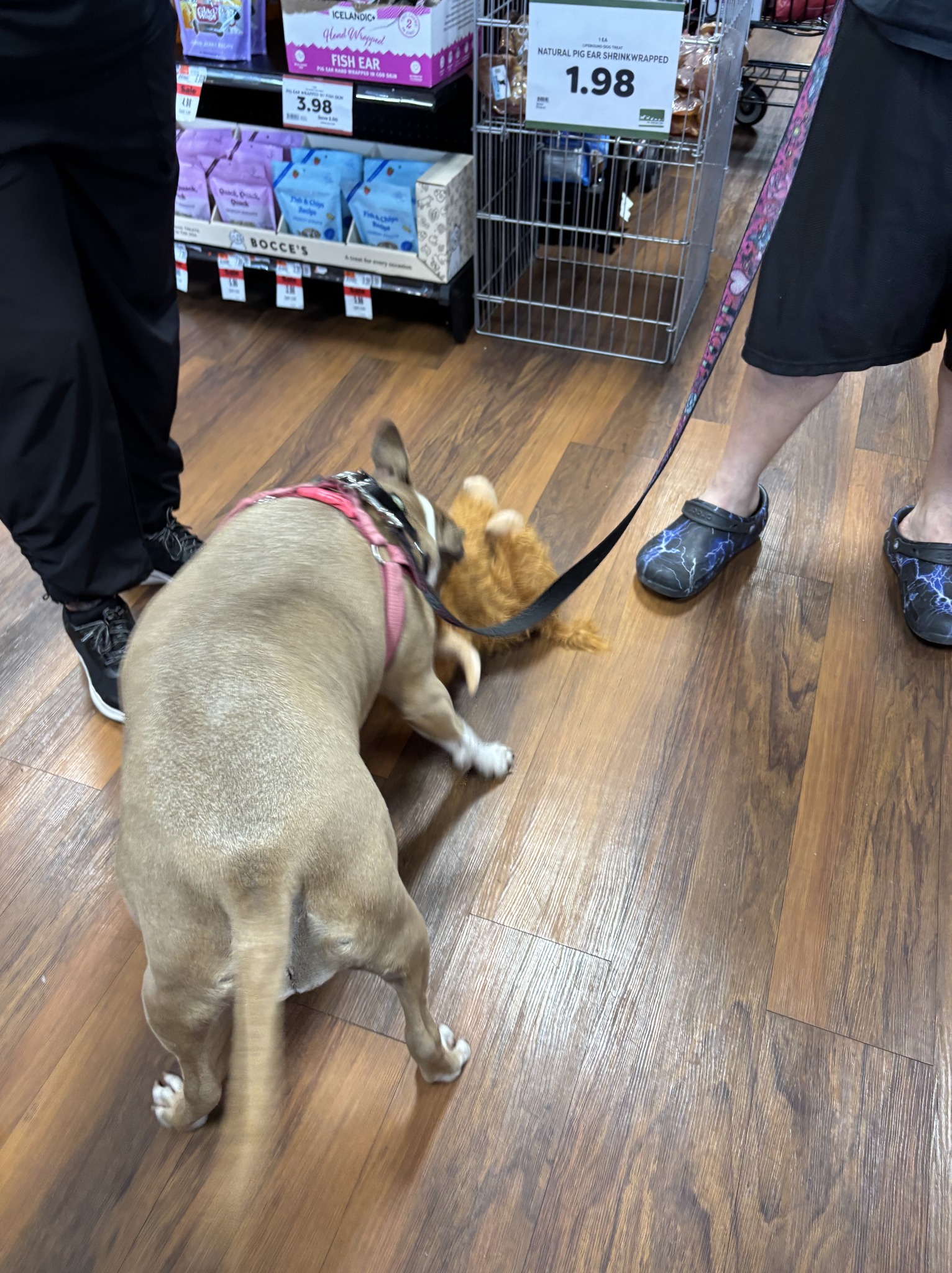 Pet Supplies Plus - Brownsburg, IN | Brownsburg IN