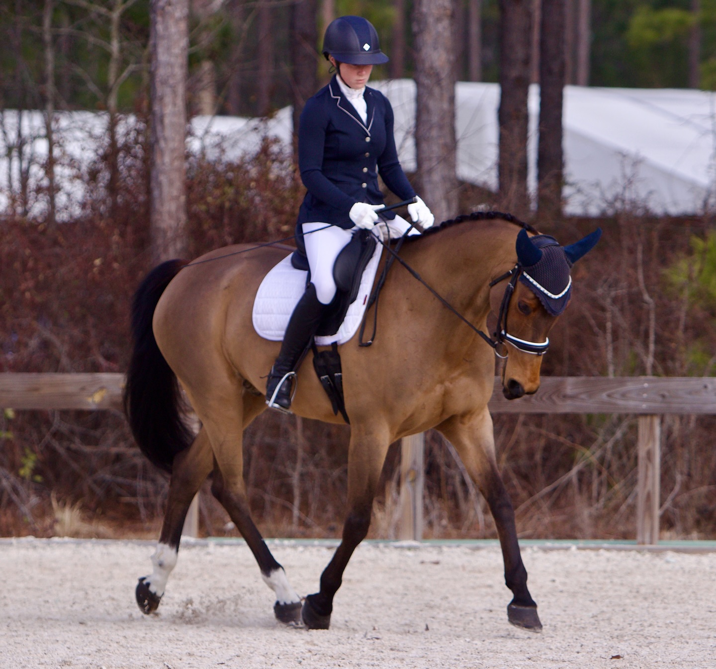 Emily Smith Eventing | Keene NH
