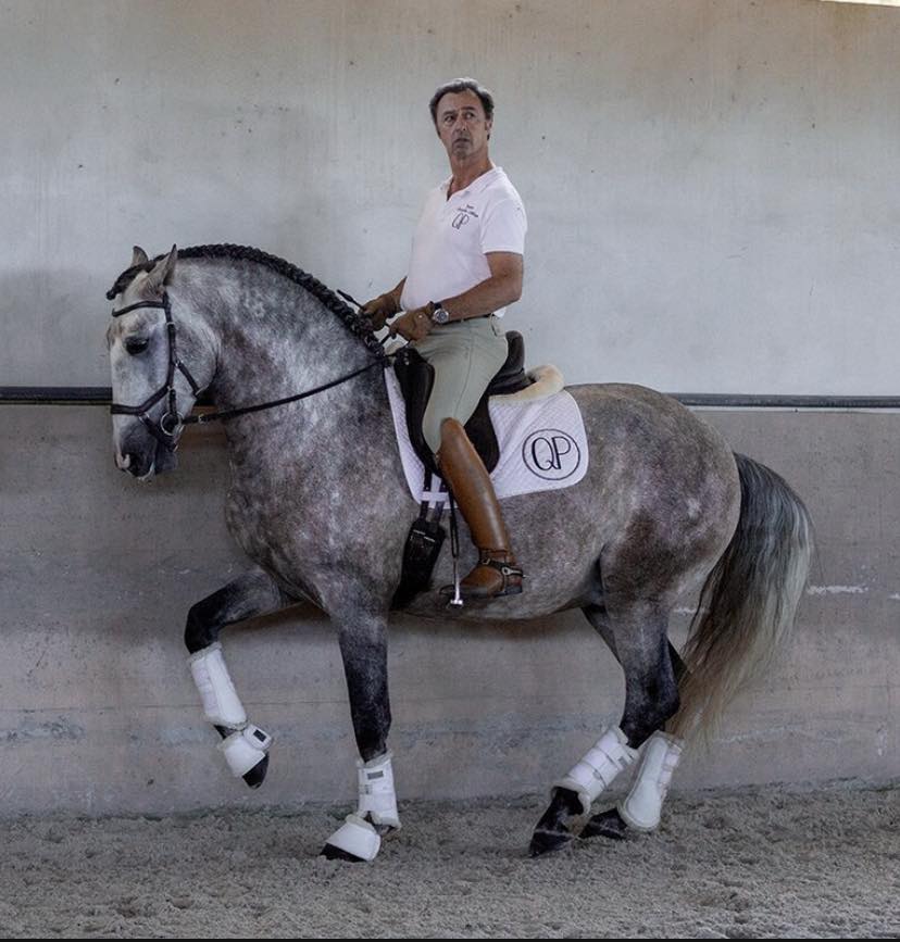 Gonçalo Linhas classical rider