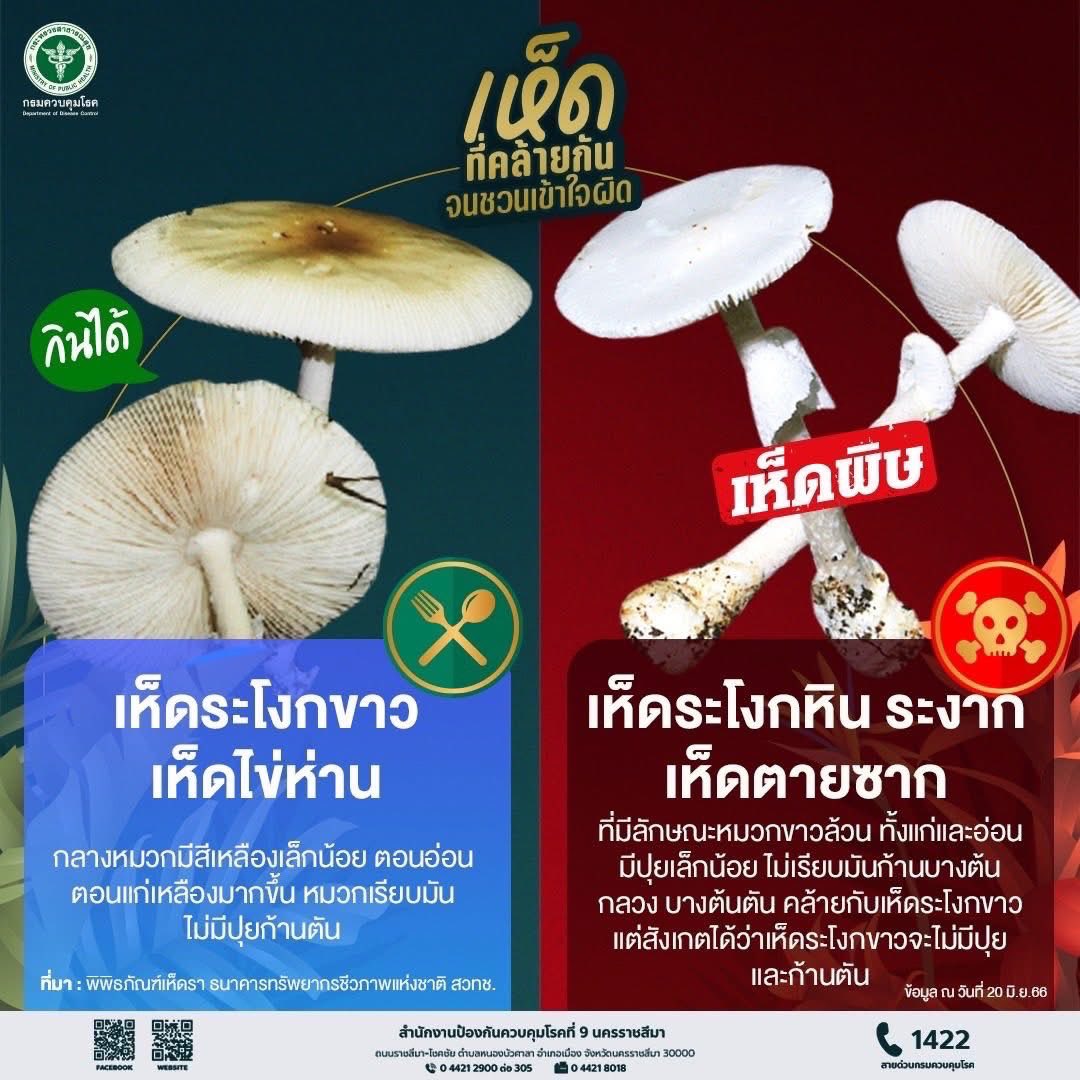สำนักงานสาธารณสุขจังหวัดส... - สำนักงานสาธารณสุขจังหวัดสระแก้ว
