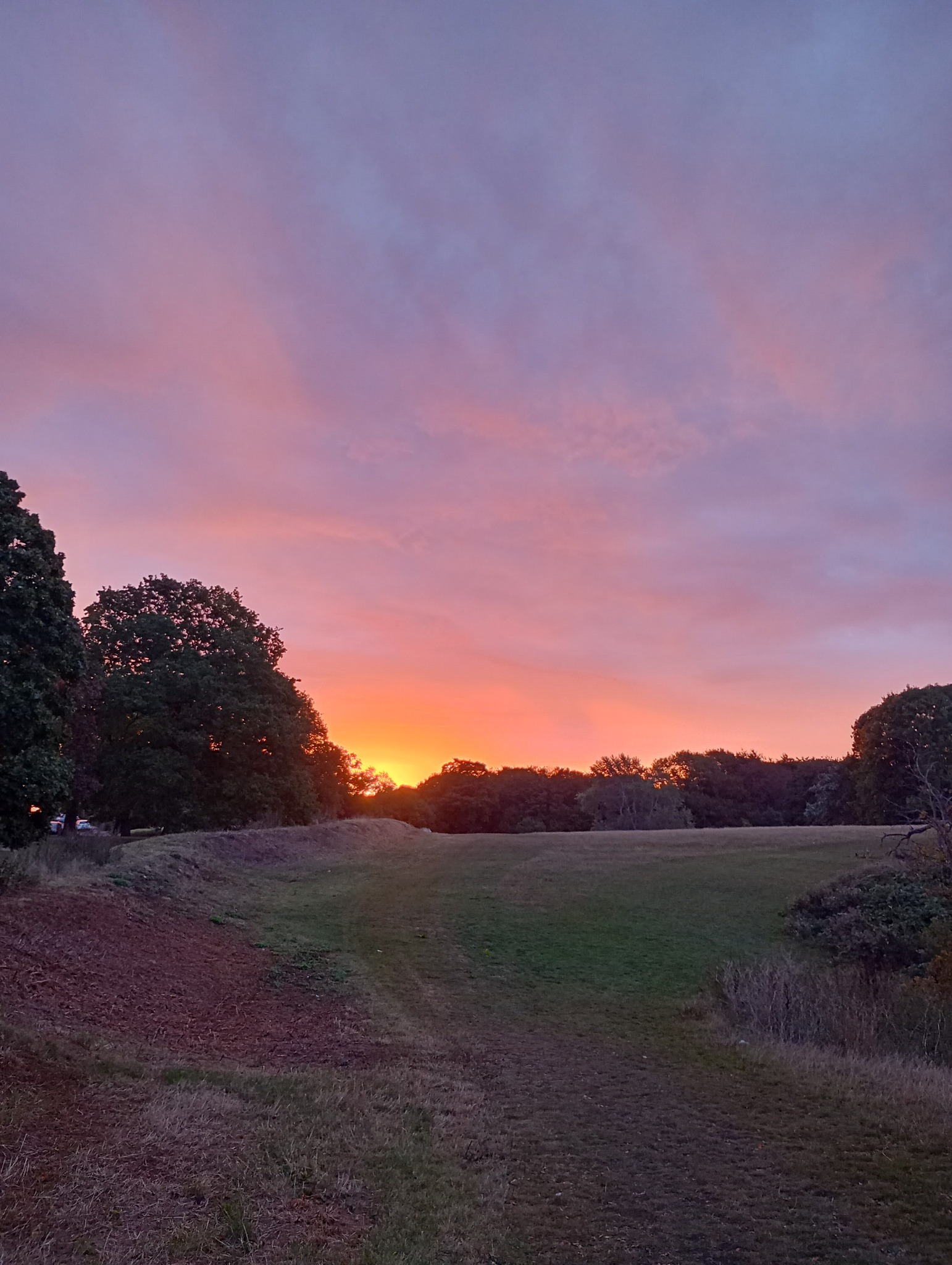 Good... - Friends of Colwick Woods Local Nature Reserve | Facebook
