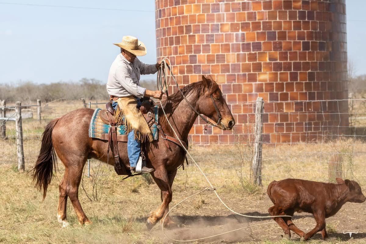 King Ranch Visitor Center | Kingsville TX