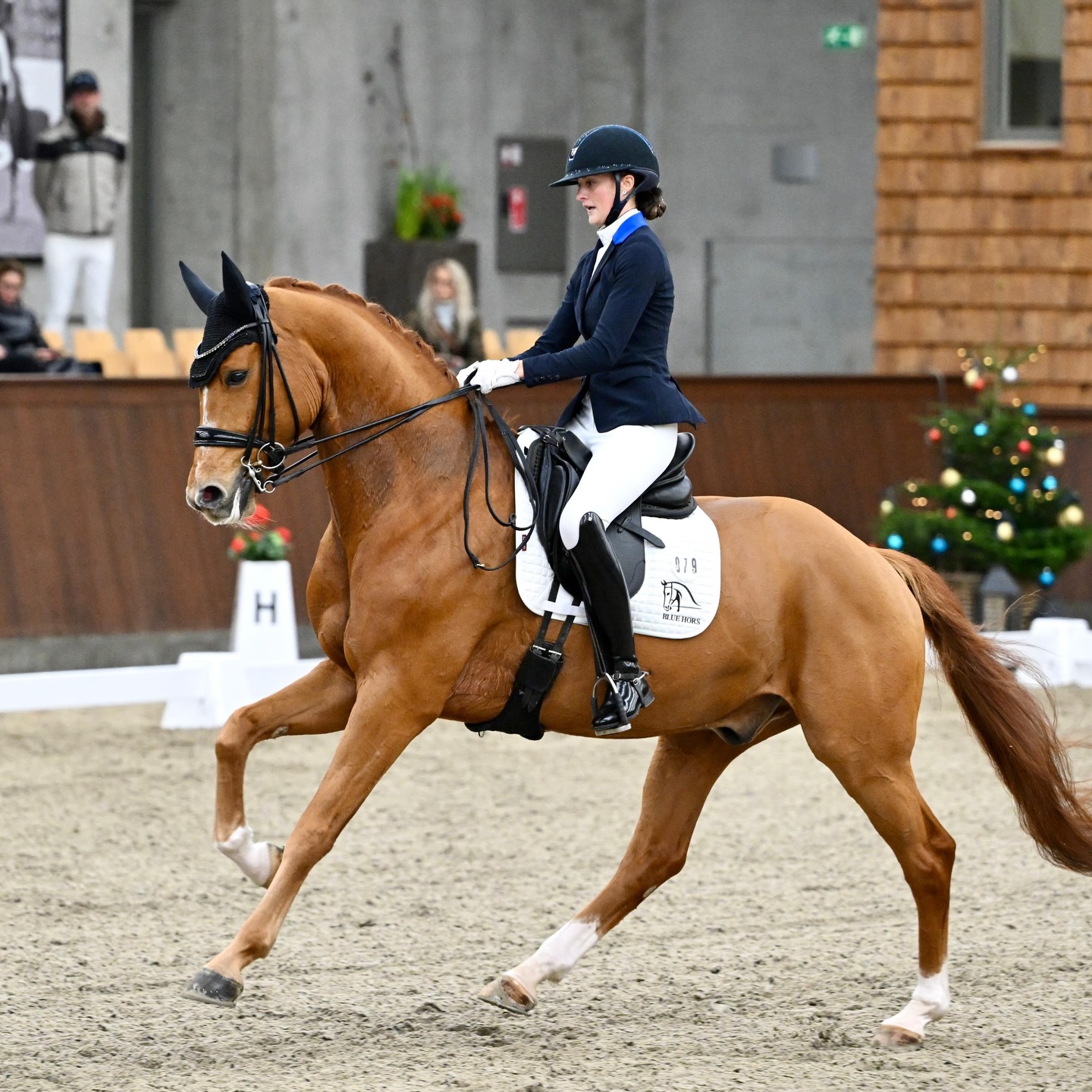 Blue Hors - 