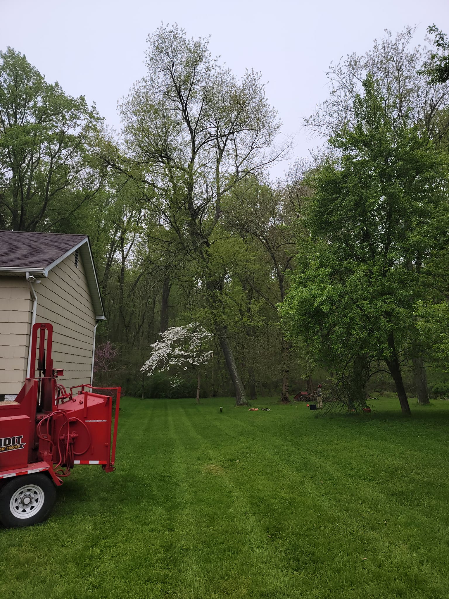 Orellana Tree Services Llc | Middle River MD