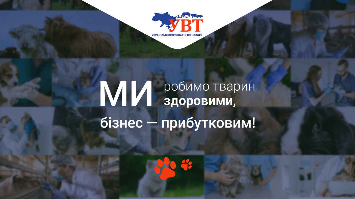 Team Bertho - An artwork portraying the inspiring story of Ludmila ...