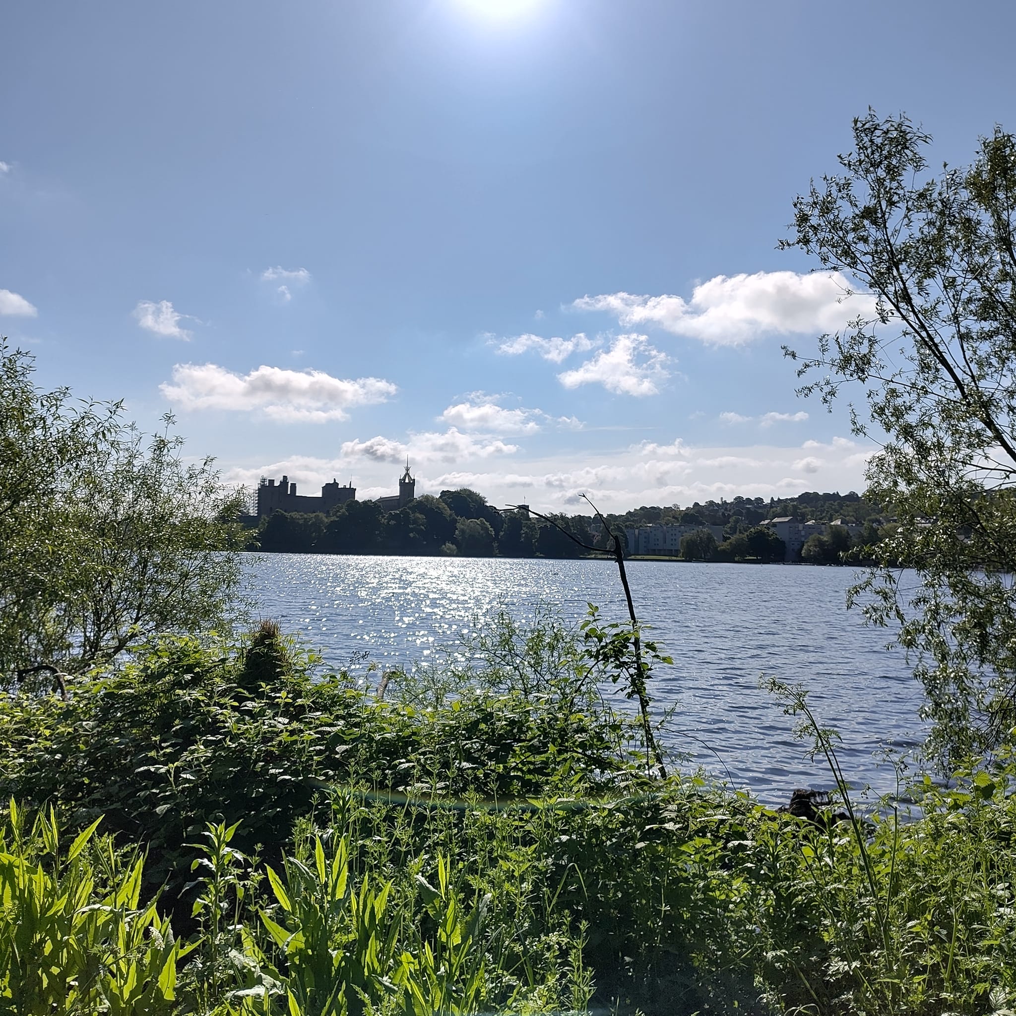 Calluna Fair | Linlithgow