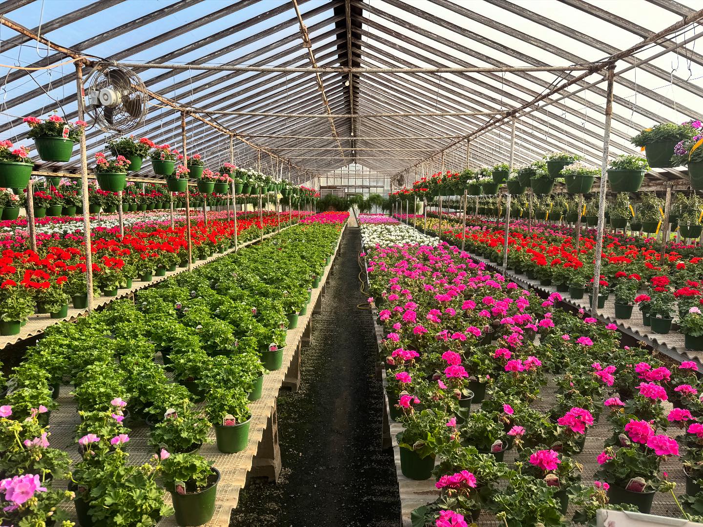 Hewitt Garden and Design Center | Franklin TN
