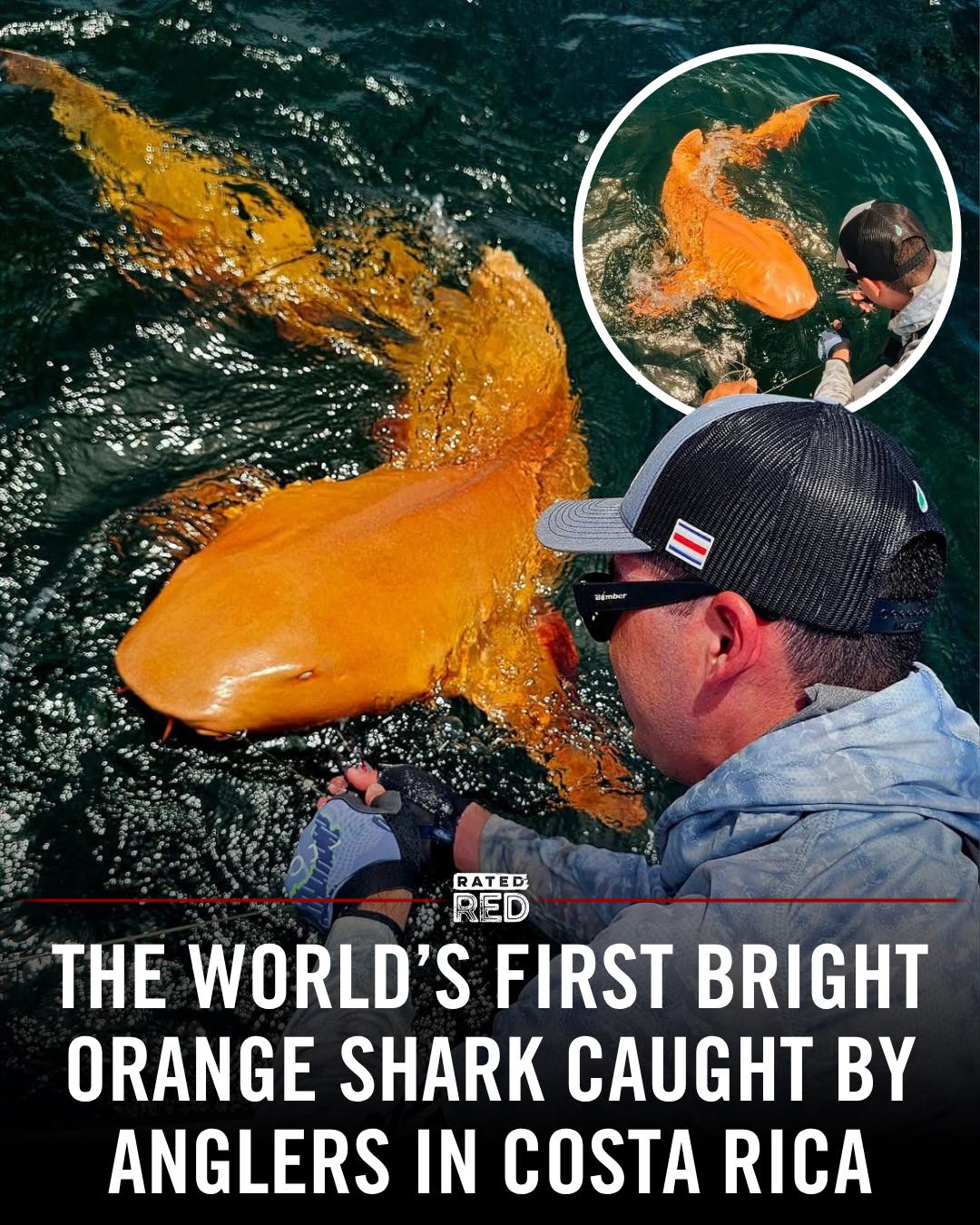 Rated - Fishermen off the coast of Costa Rica made a one-in-a-million ...