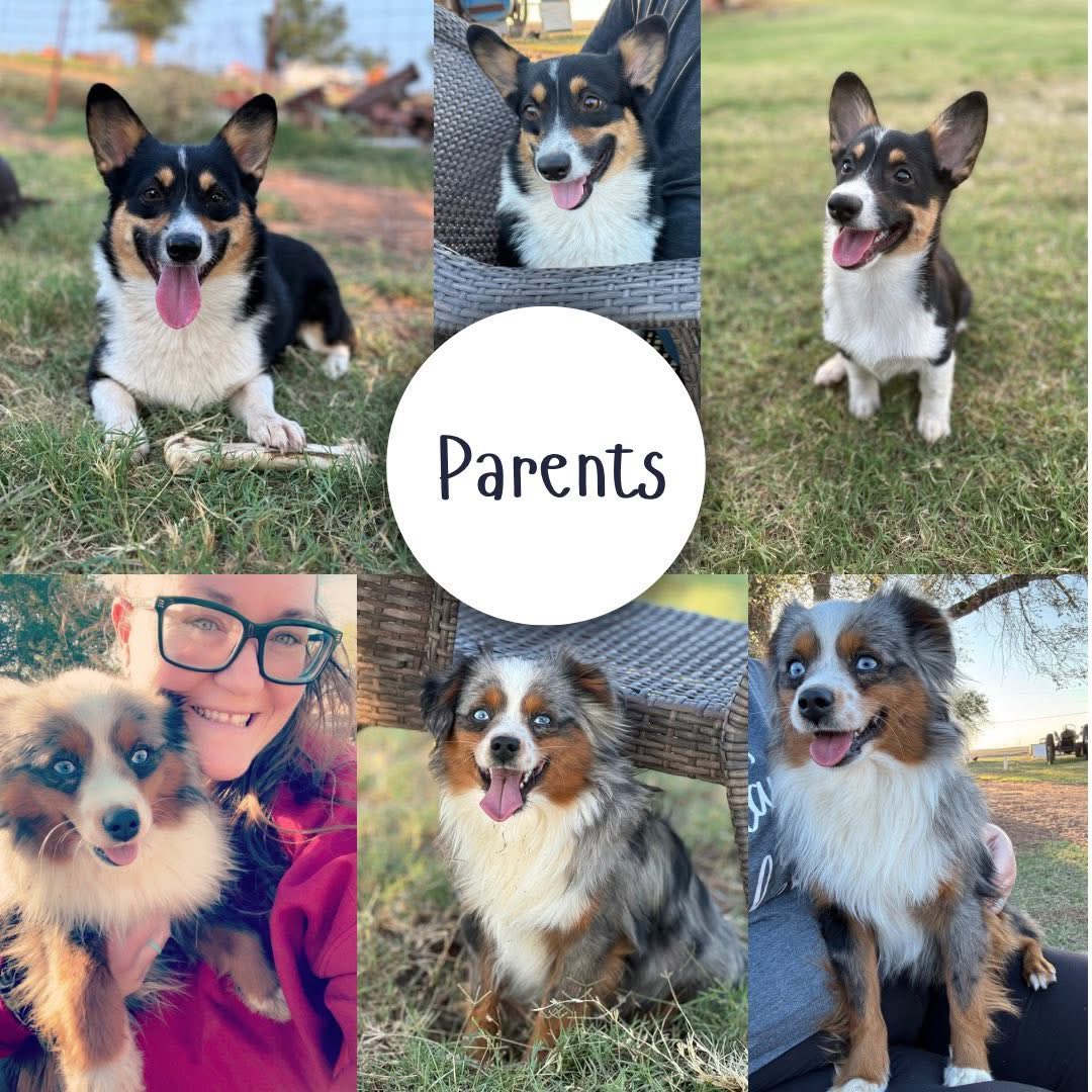 Twisted M Ranch | Weatherford OK