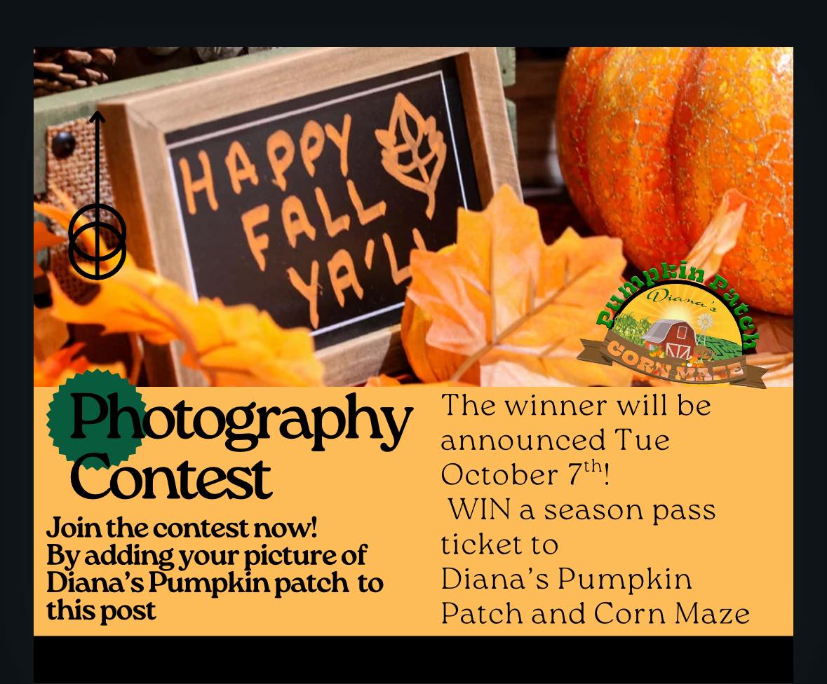 Diana's Pumpkin Patch and Corn Maze | Canon City CO