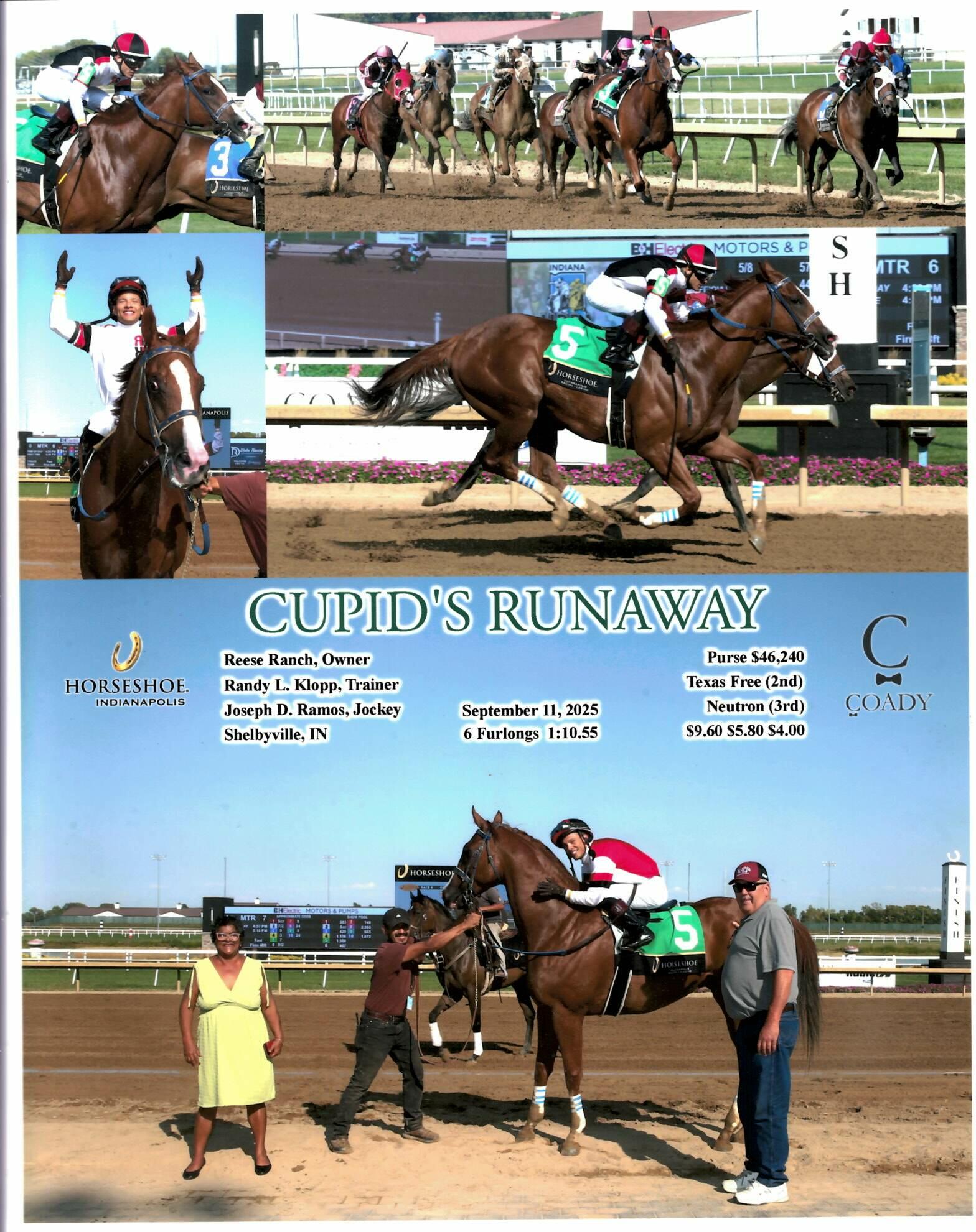 Reese Ranch - On 9/11, Rusty started his seventh race of... | Facebook