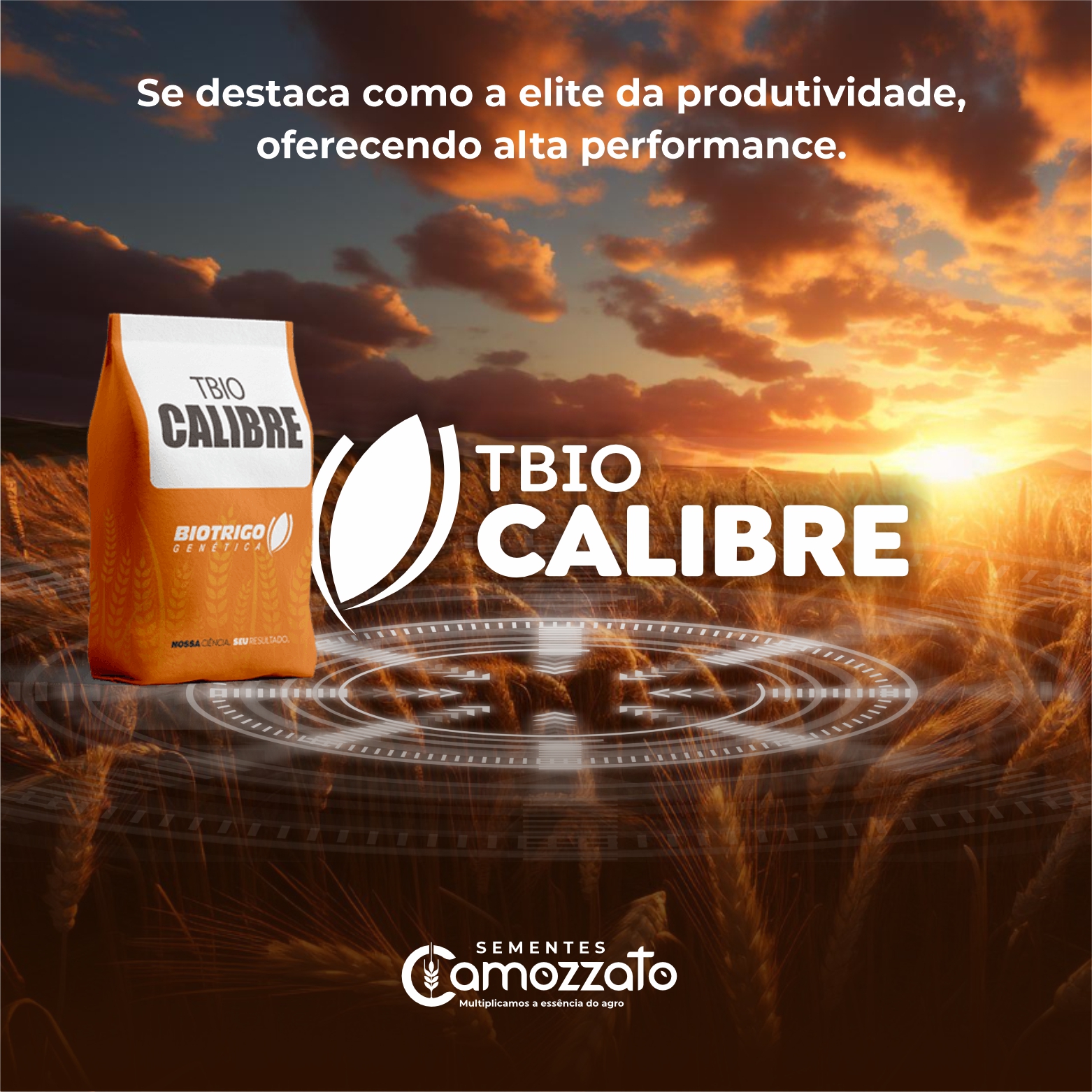 Sementes - TBIO Calibre é a elite da produtividade. Alto potencial ...