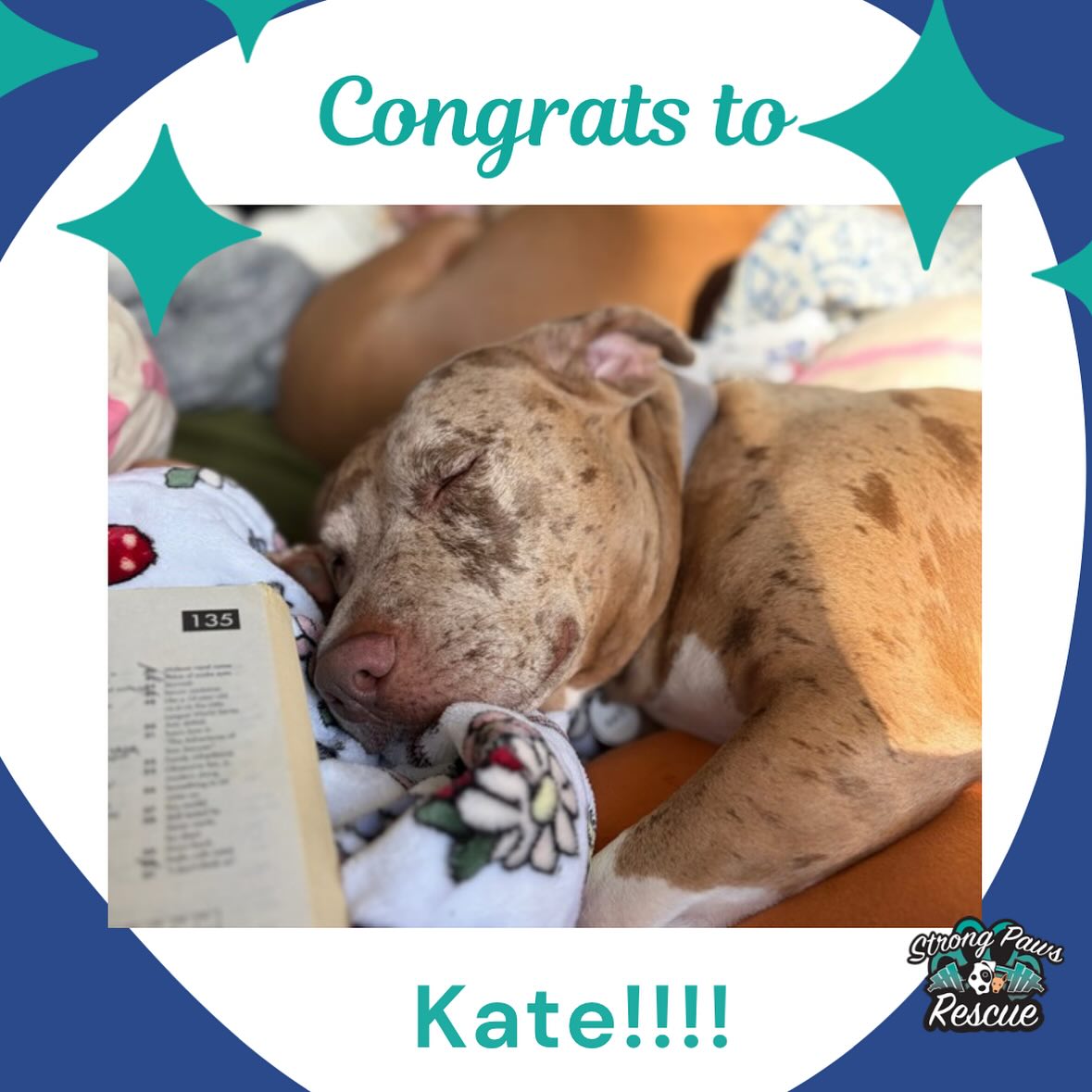🎉 Adopted! 🎉 We are ecstatic to... - Strong Paws Rescue | Facebook