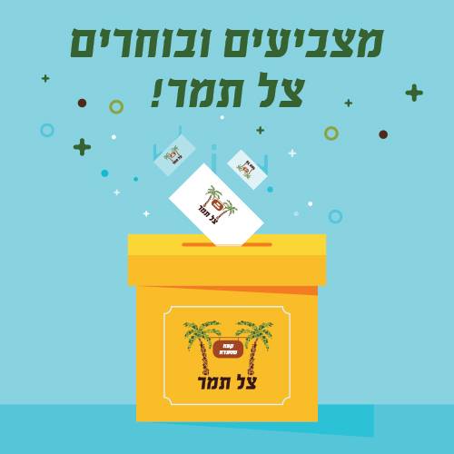 צל תמר - ‎צל תמר‎ added a new photo.