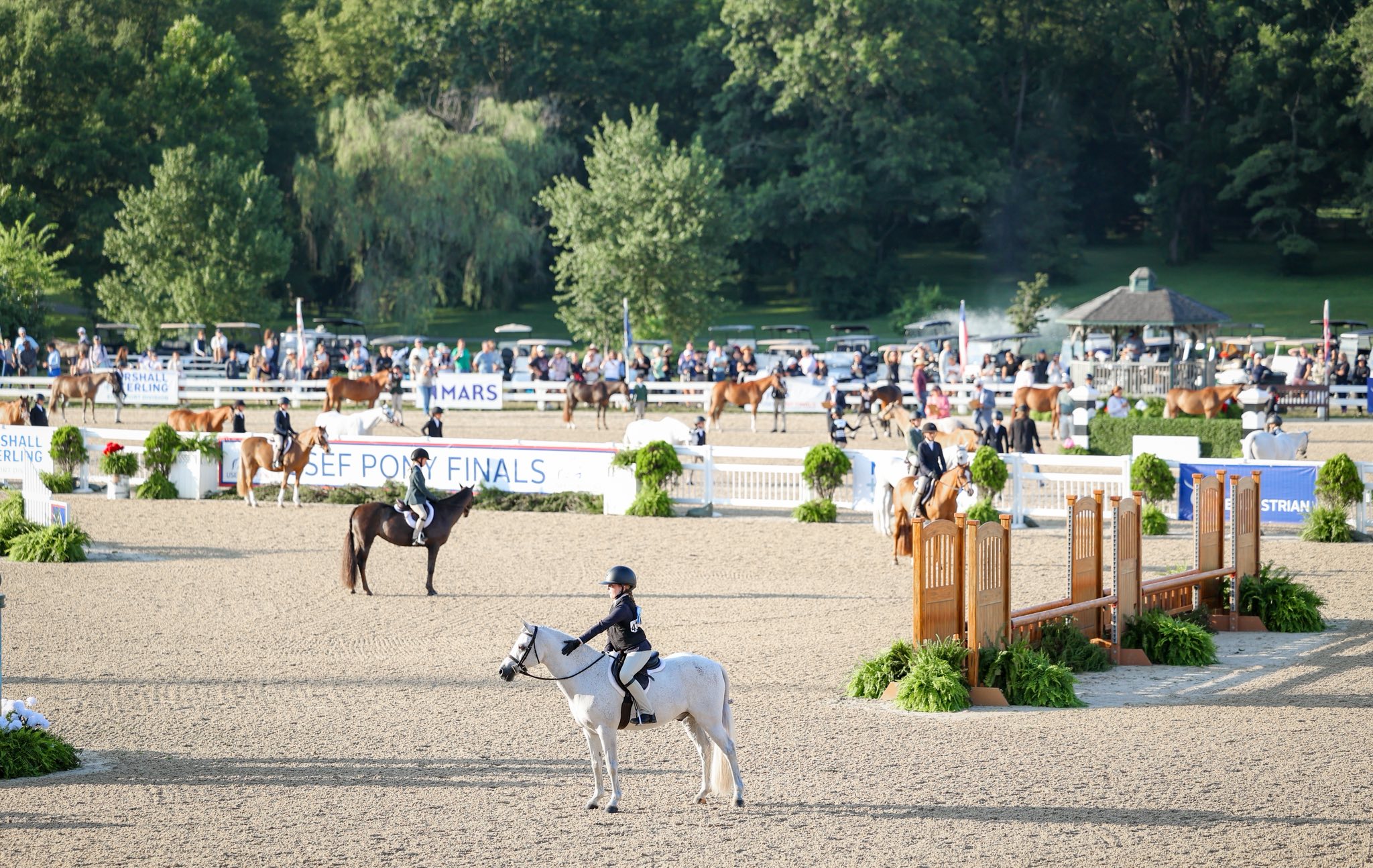 USEF Pony Finals added a new photo. - USEF Pony Finals