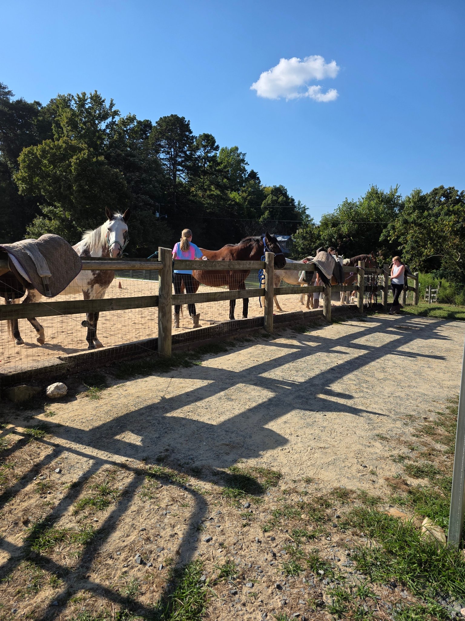 Spirit Horse Ranch... - Spirit Horse Ranch Education Center