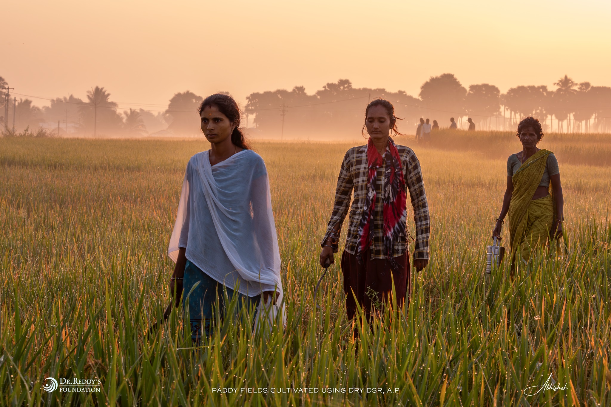 Dr Reddy's Foundation | Hyderabad