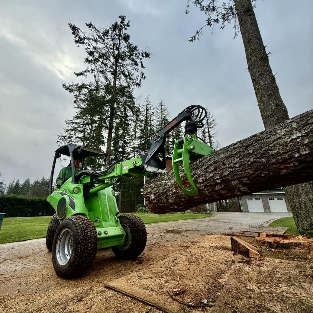Vision - Vancouver Island’s 🦅🤘🏼EPIC🗡️🔥 choice for tree services ...