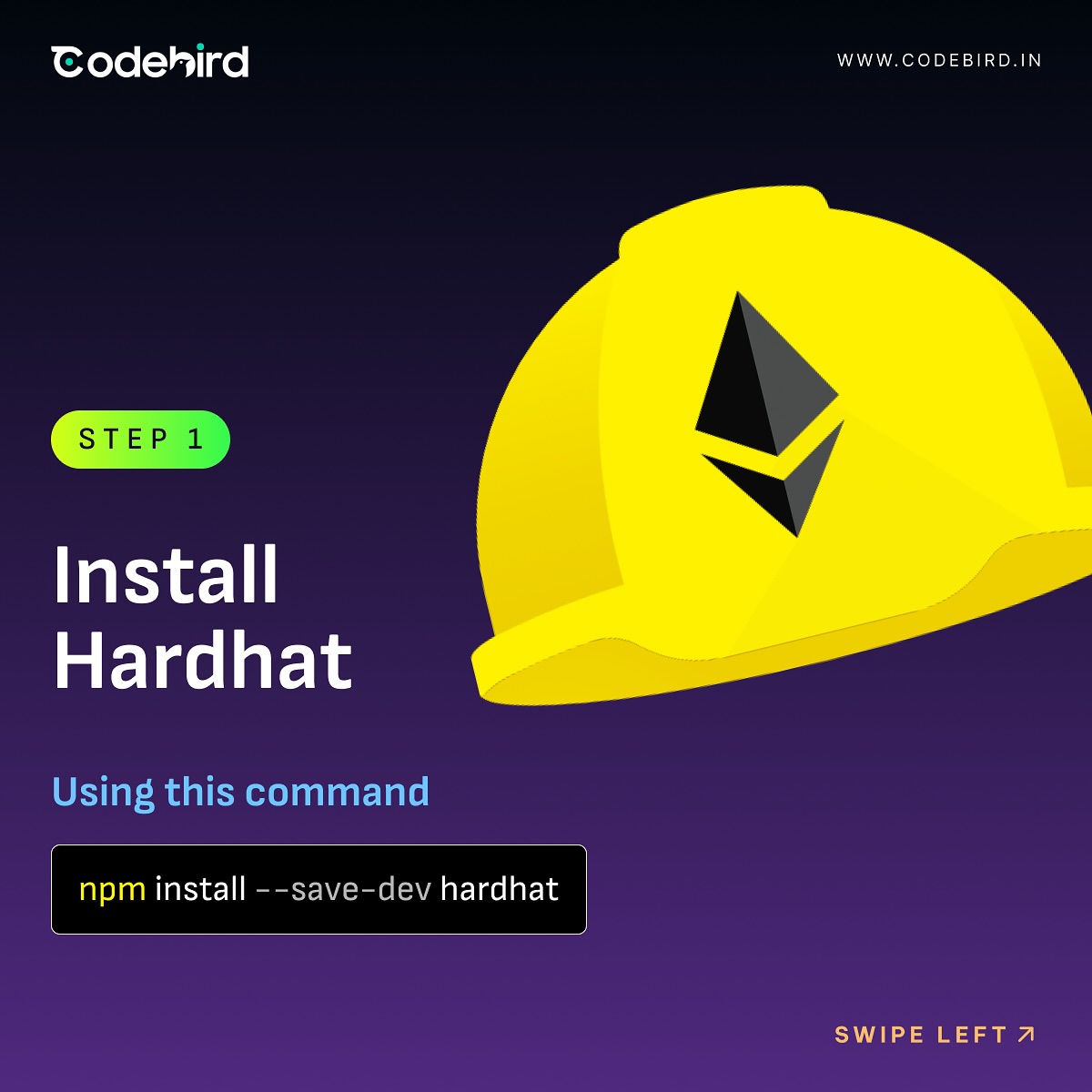 Codebird | Jaipur