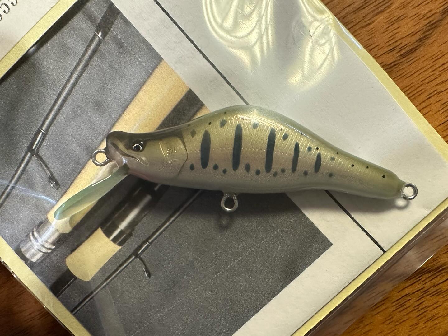 魚じゃらし工房 EBISU555HH入荷】 スポーツザウルス時代からの交友関係
