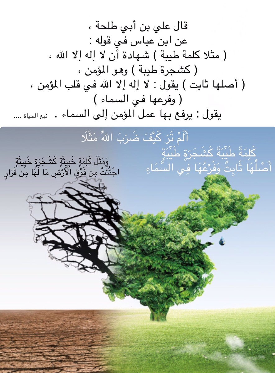 اقرأ قرآنك وتدب ر أ ل م ت ر ك ي ف ض ر ب الل ه م ث ل ا ك ل م ة ط ي ب ة ك ش ج ر ة ط ي ب ة أ ص ل ه ا ث اب ت و ف ر ع ه ا ف ي الس م اء 24 ت ؤ ت ي أ ك ل ه ا ك ل ح ين ب إ ذ ن ر ب ه ا و ي ض ر ب الل ه ال أ م ث ال ل لن اس