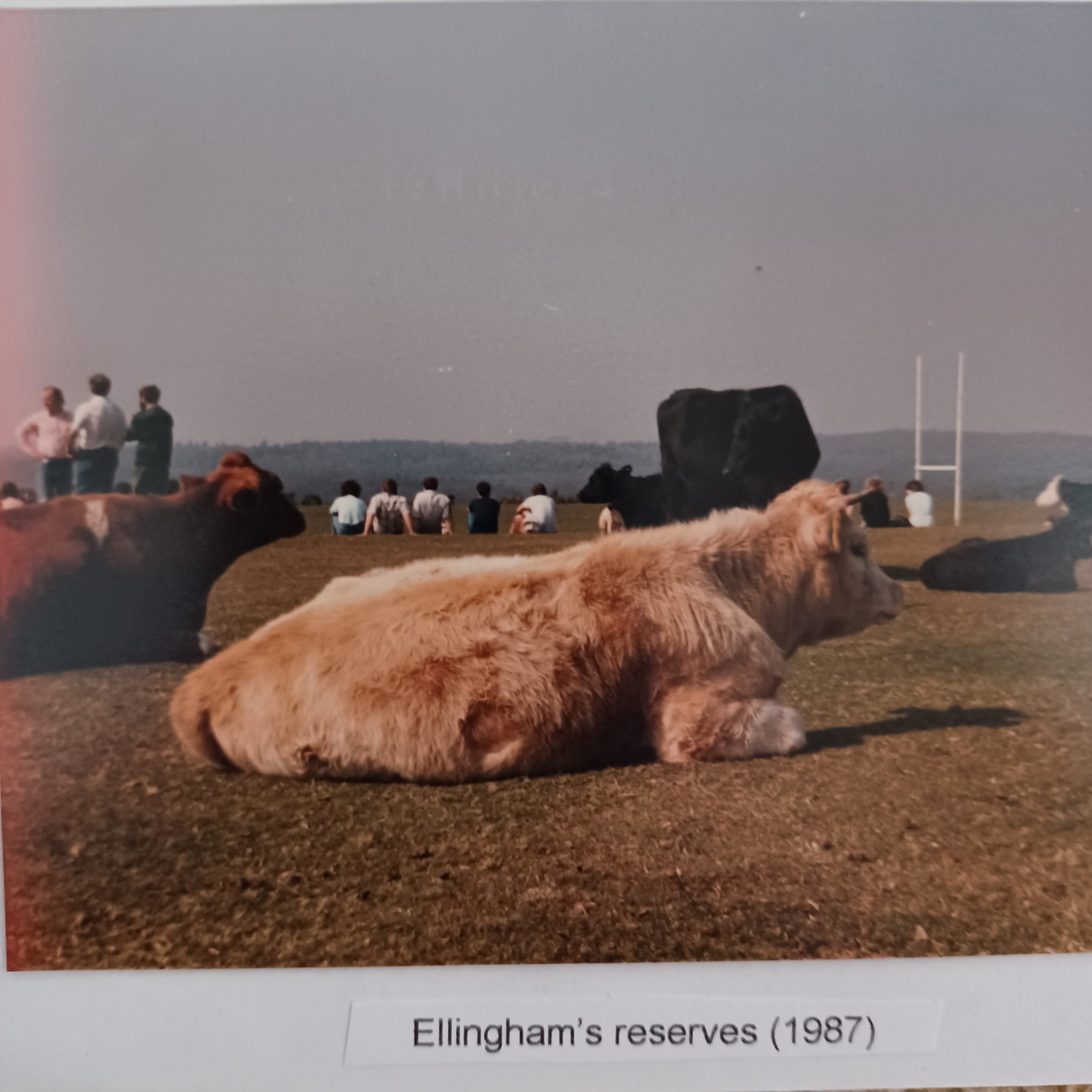 Old Freemens Rugby Football Club | Some random photos of OFRFC's Easter ...