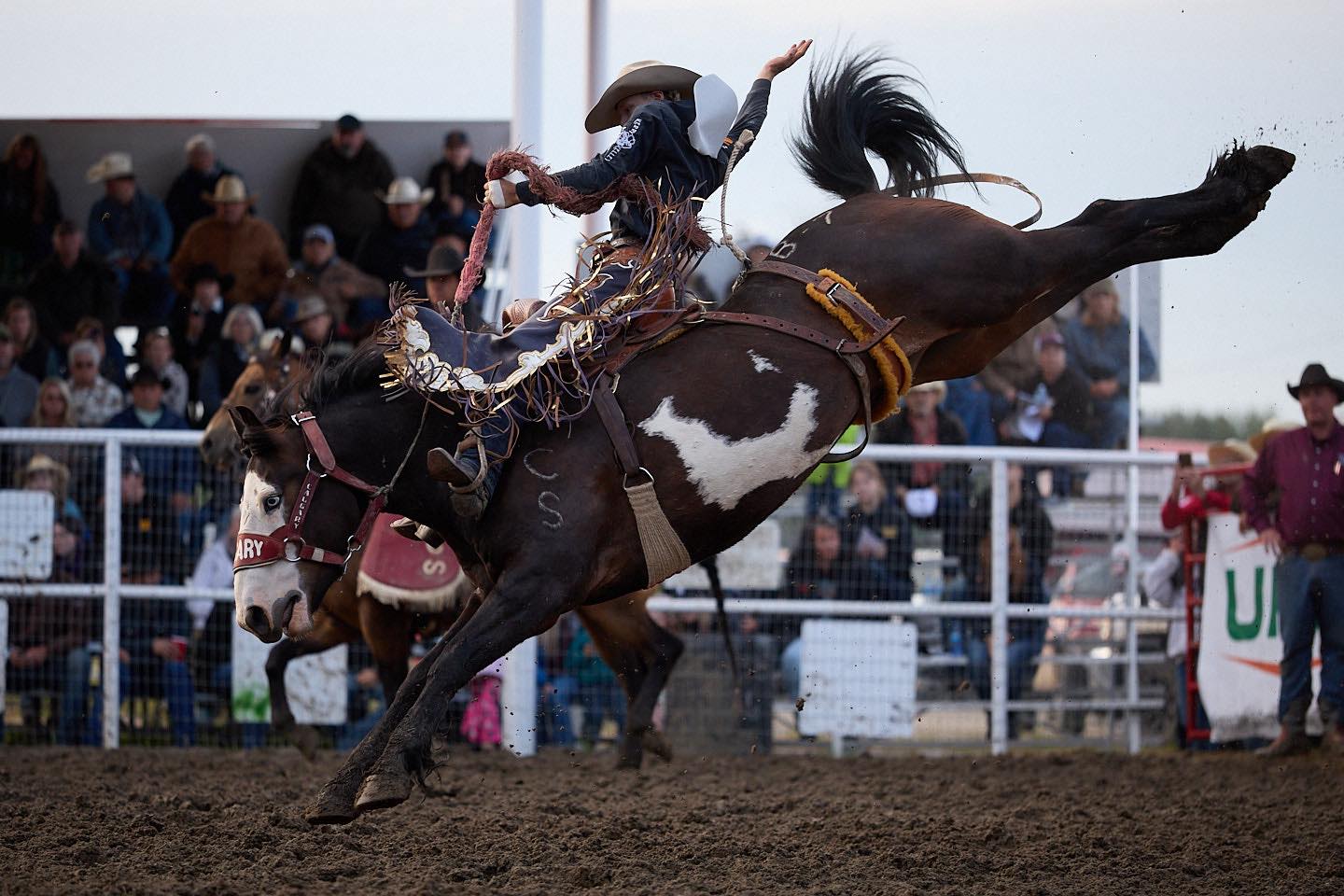 Everything Cowboy added a new photo. - Everything Cowboy