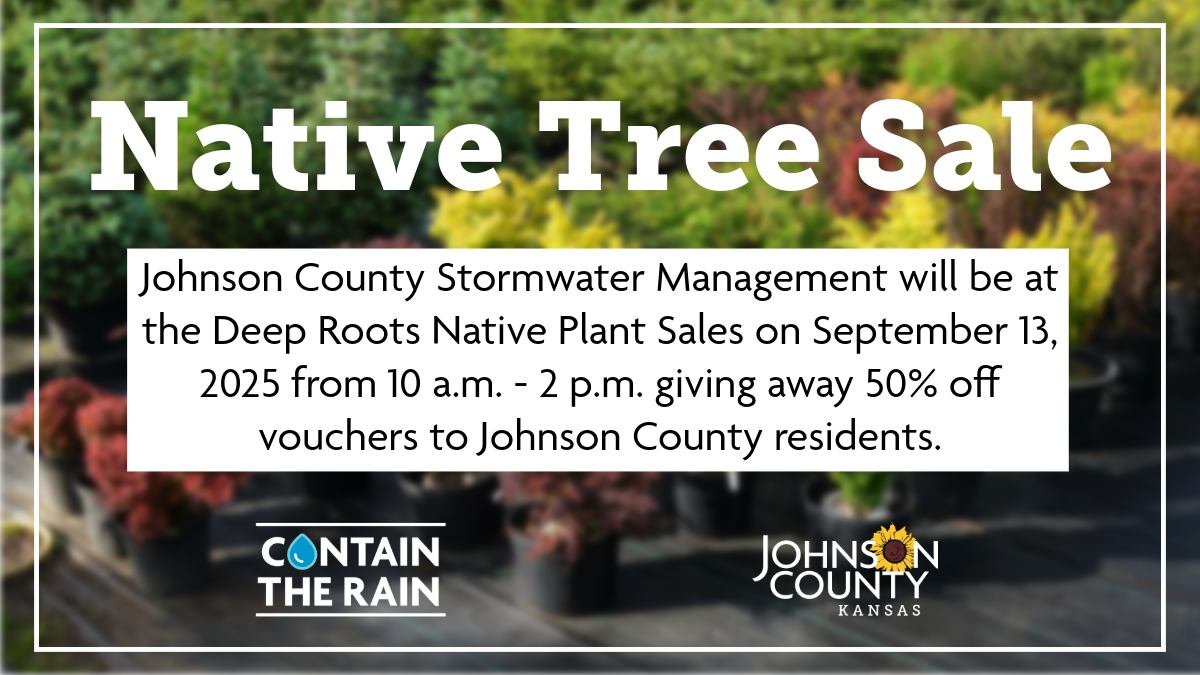 Johnson - Did you know that native plants require less water and ...