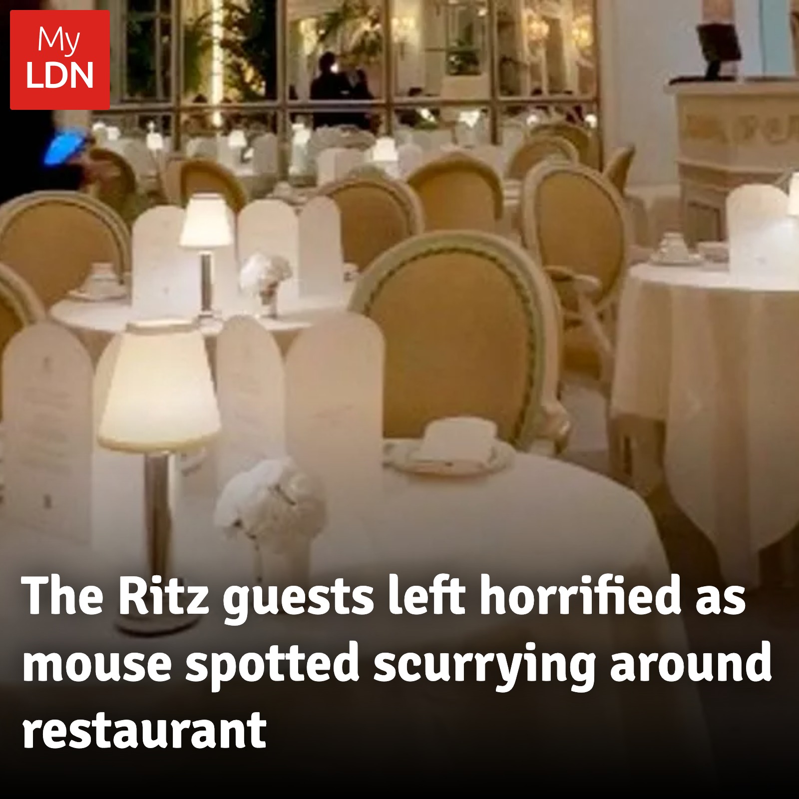 MyLondon - A real life Ratatouille moment 🐀 | Facebook