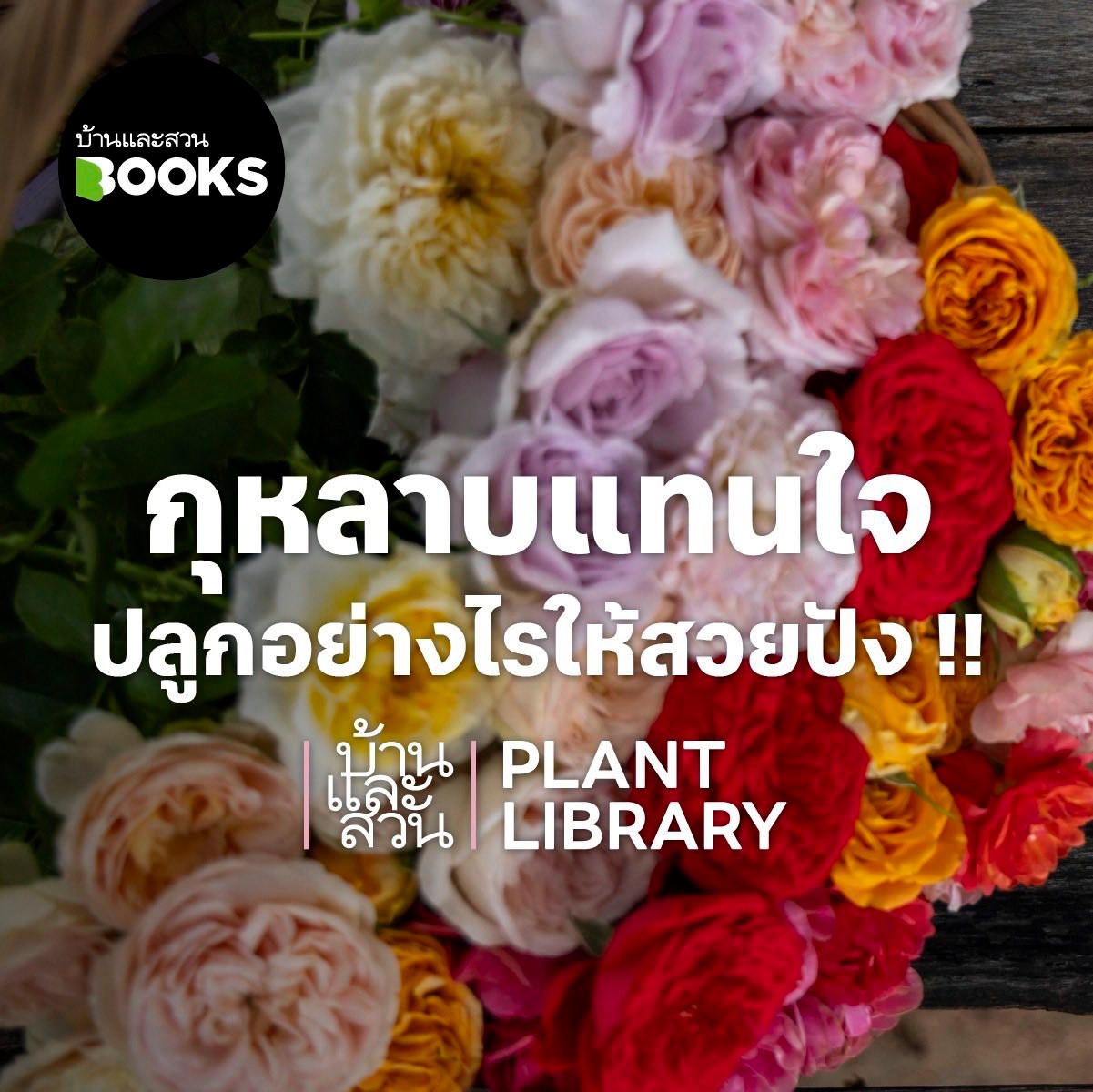 สำนักพิมพ์บ้านและสวน added a new photo. - สำนักพิมพ์บ้านและสวน