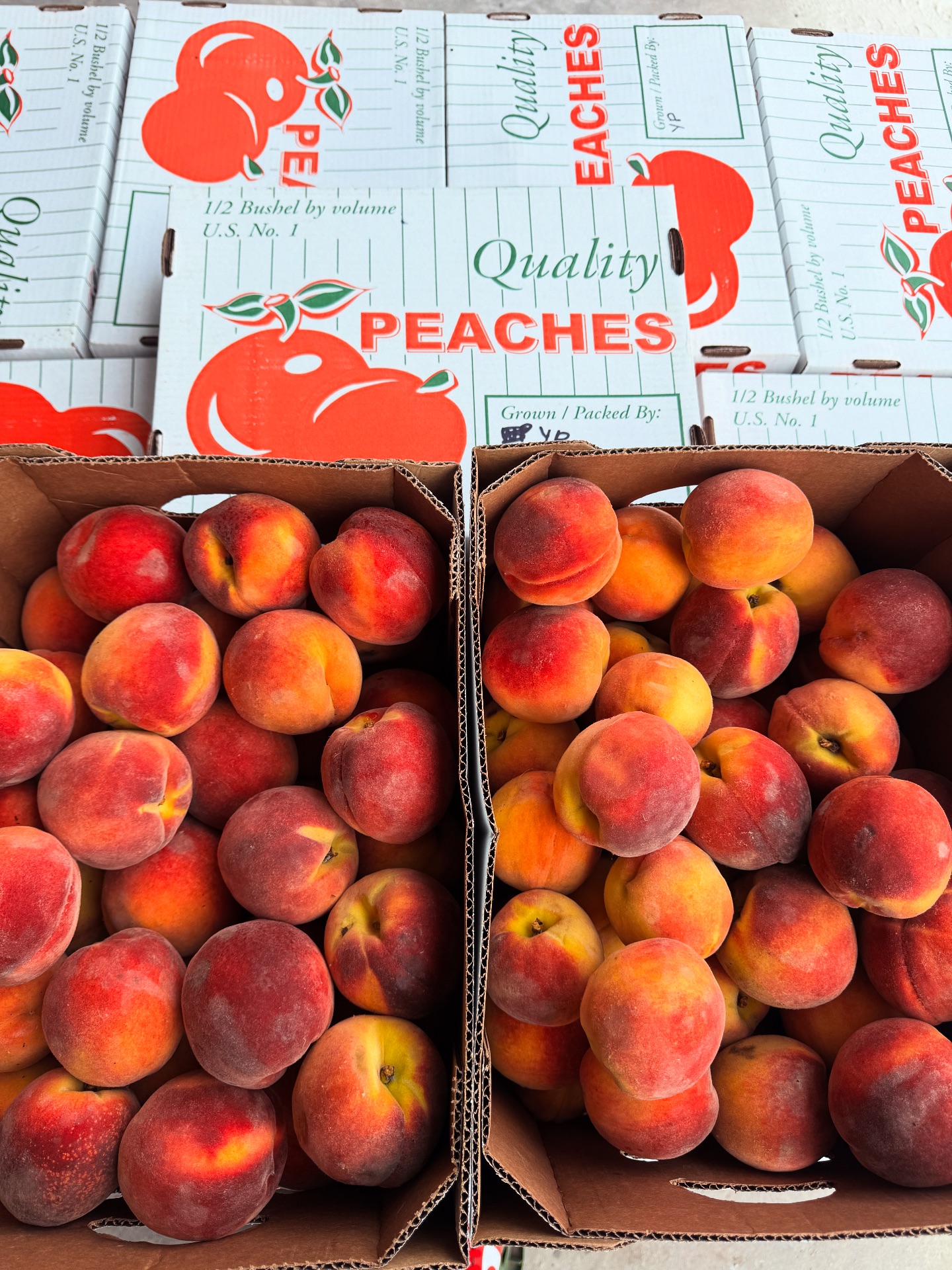 🍑 Fresh from Michigan! Tree-ripened... - Tom's Farm Market | Facebook