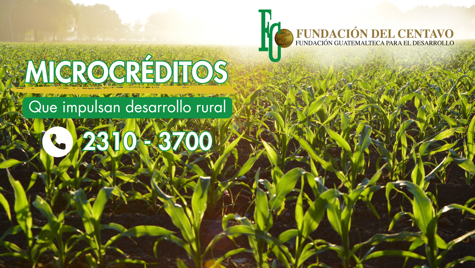 Plataforma... - Plataforma de Organizaciones Sociales POSIC